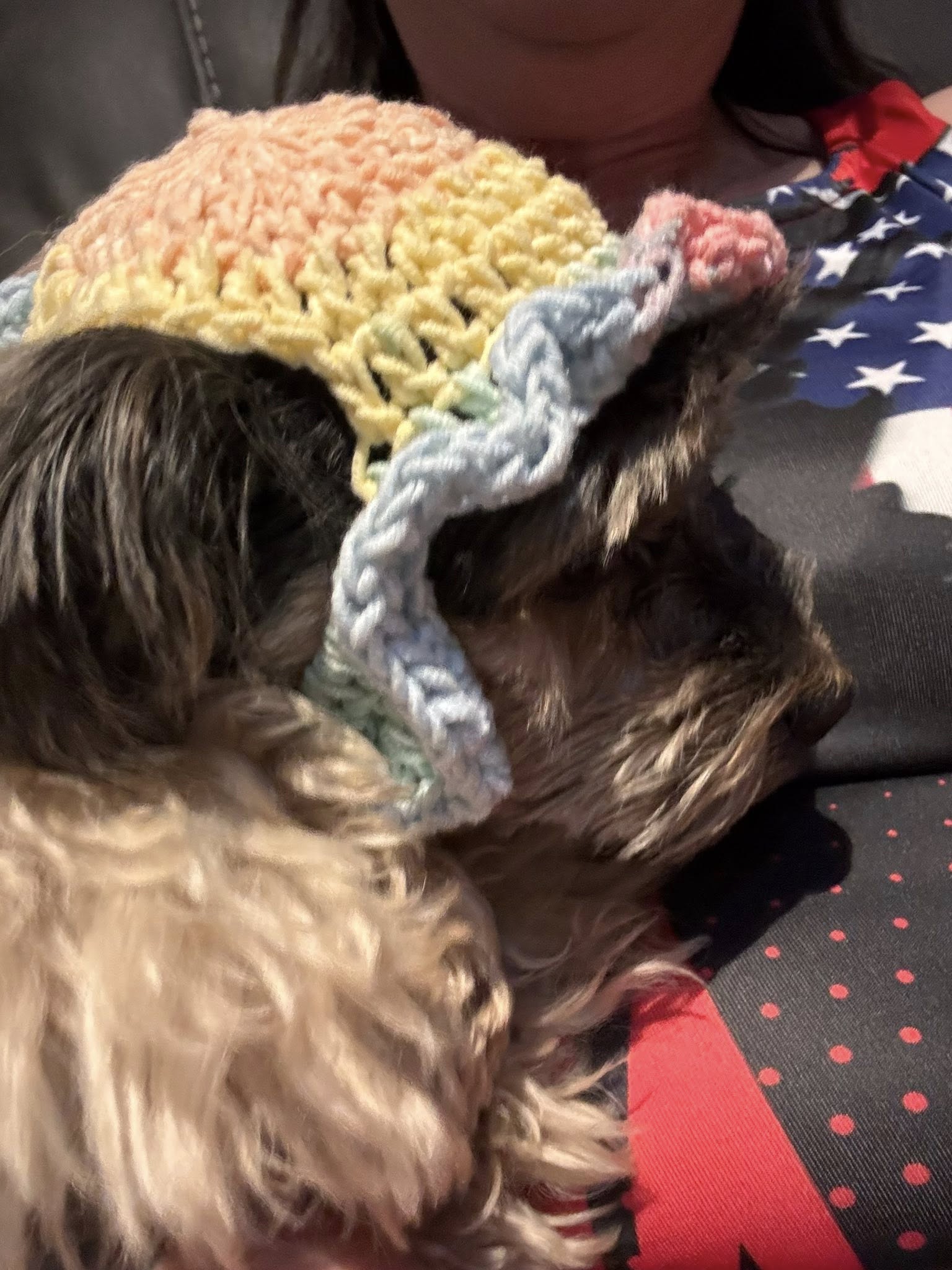 Sherrys K9 Creations Albuquerque