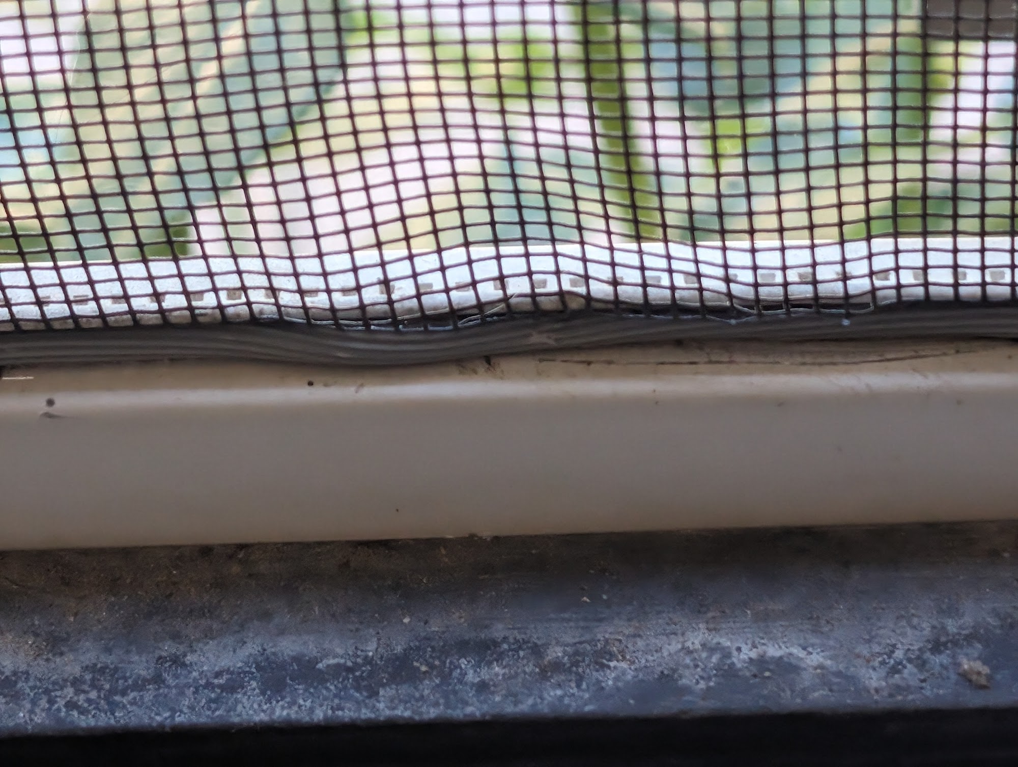 Discount Glass Company