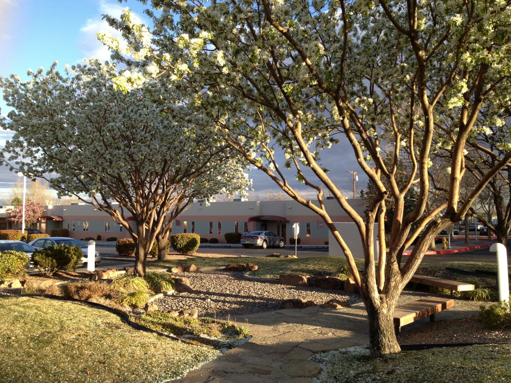 Health Clinic of New Mexico