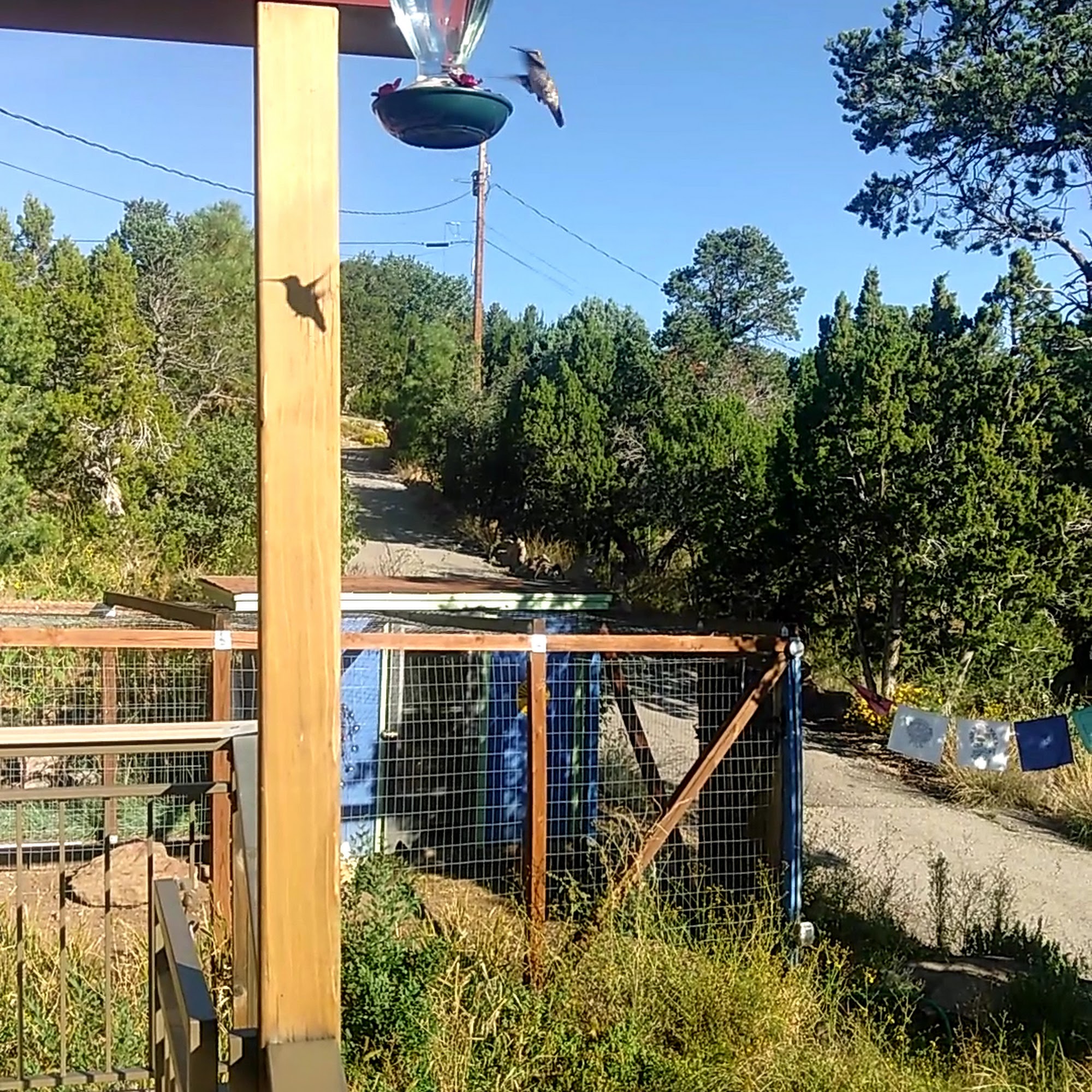 Happy Tails Kennel Albuquerque