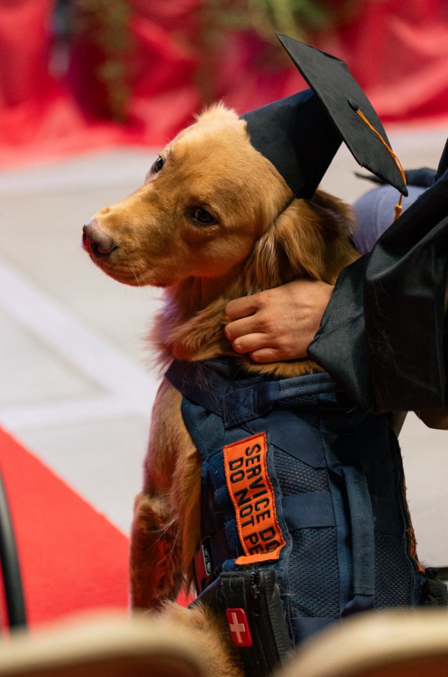 The Academy of Canine Excellence Albuquerque