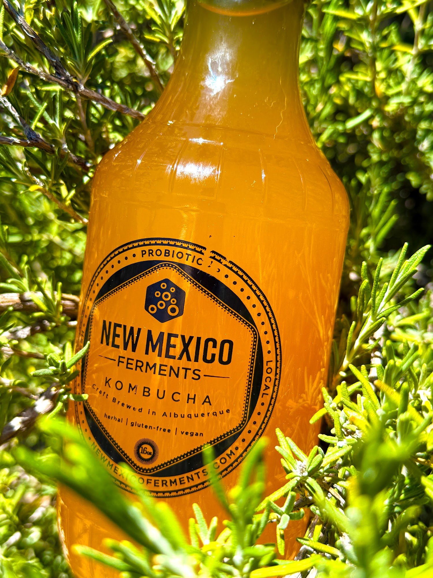 New Mexico Ferments Albuquerque