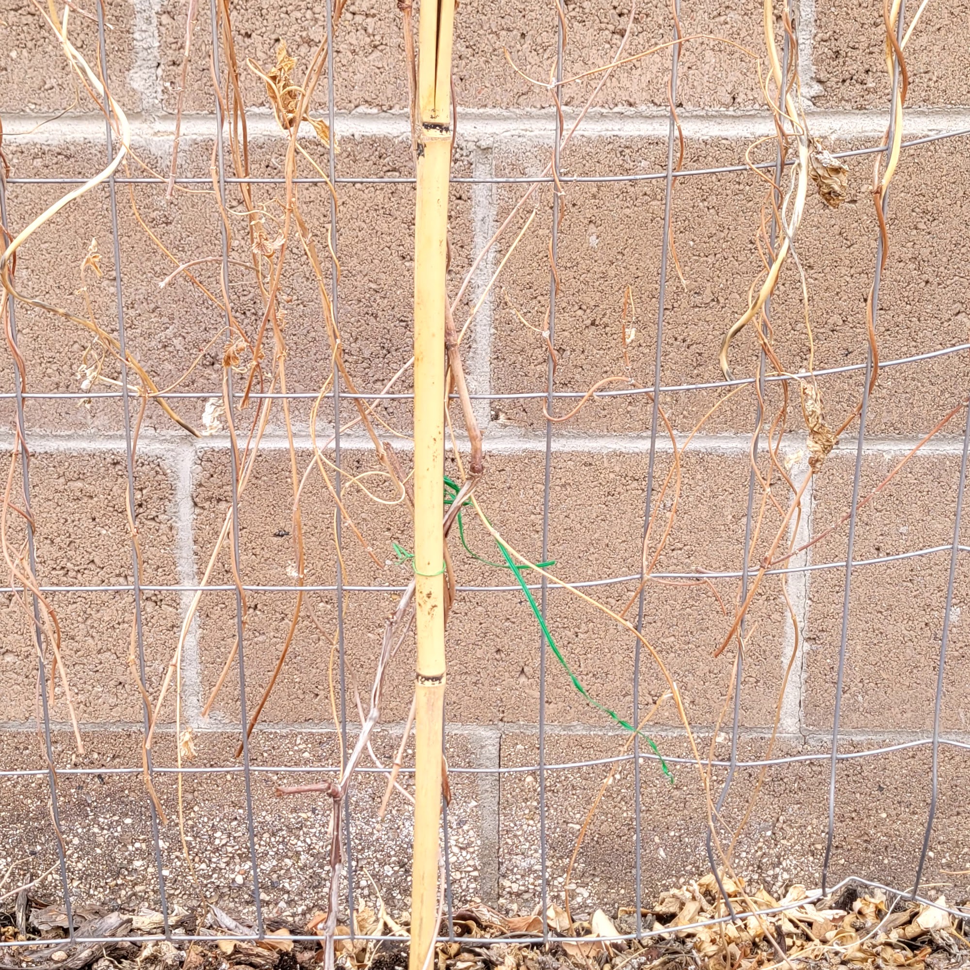 Flora Fauna Farm 421 Clark Rd SW, Albuquerque