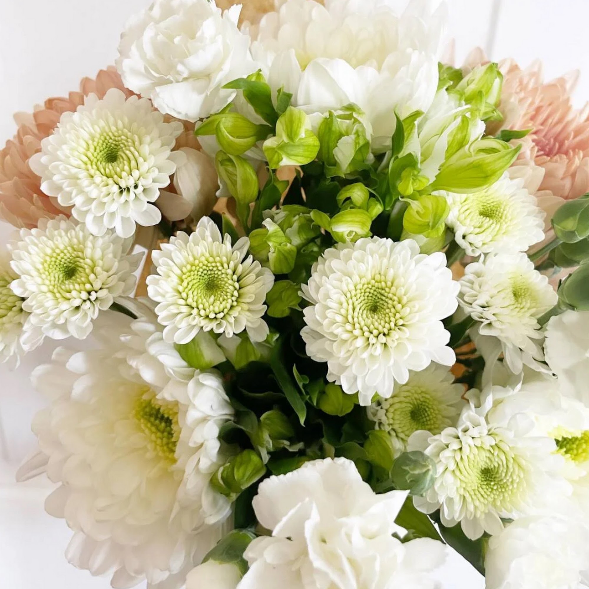 jennifleurs 701 Central Ave NE Spc 2, Albuquerque New Mexico 87102