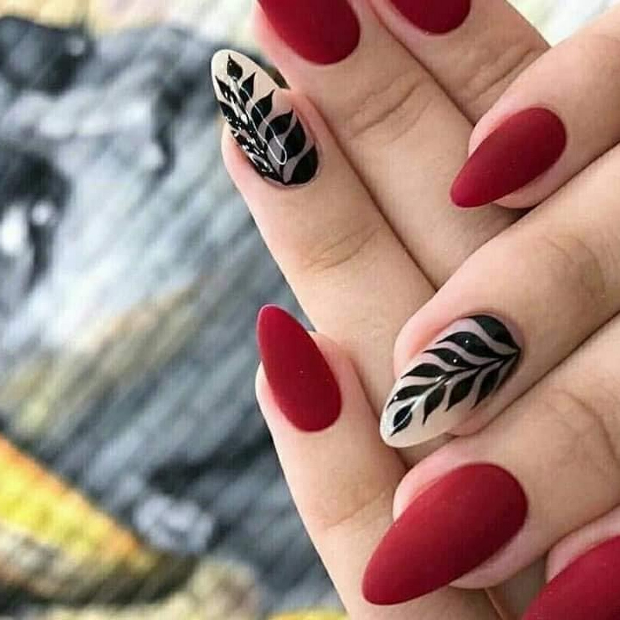 Lush Nails Lounge & Spa 5740 Night Whisper Rd NW Suite 270, Albuquerque New Mexico 87114