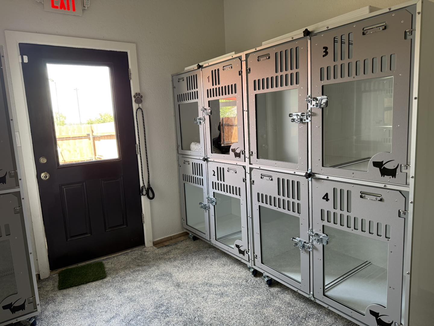 Green Dog Pet Resorts Anthony