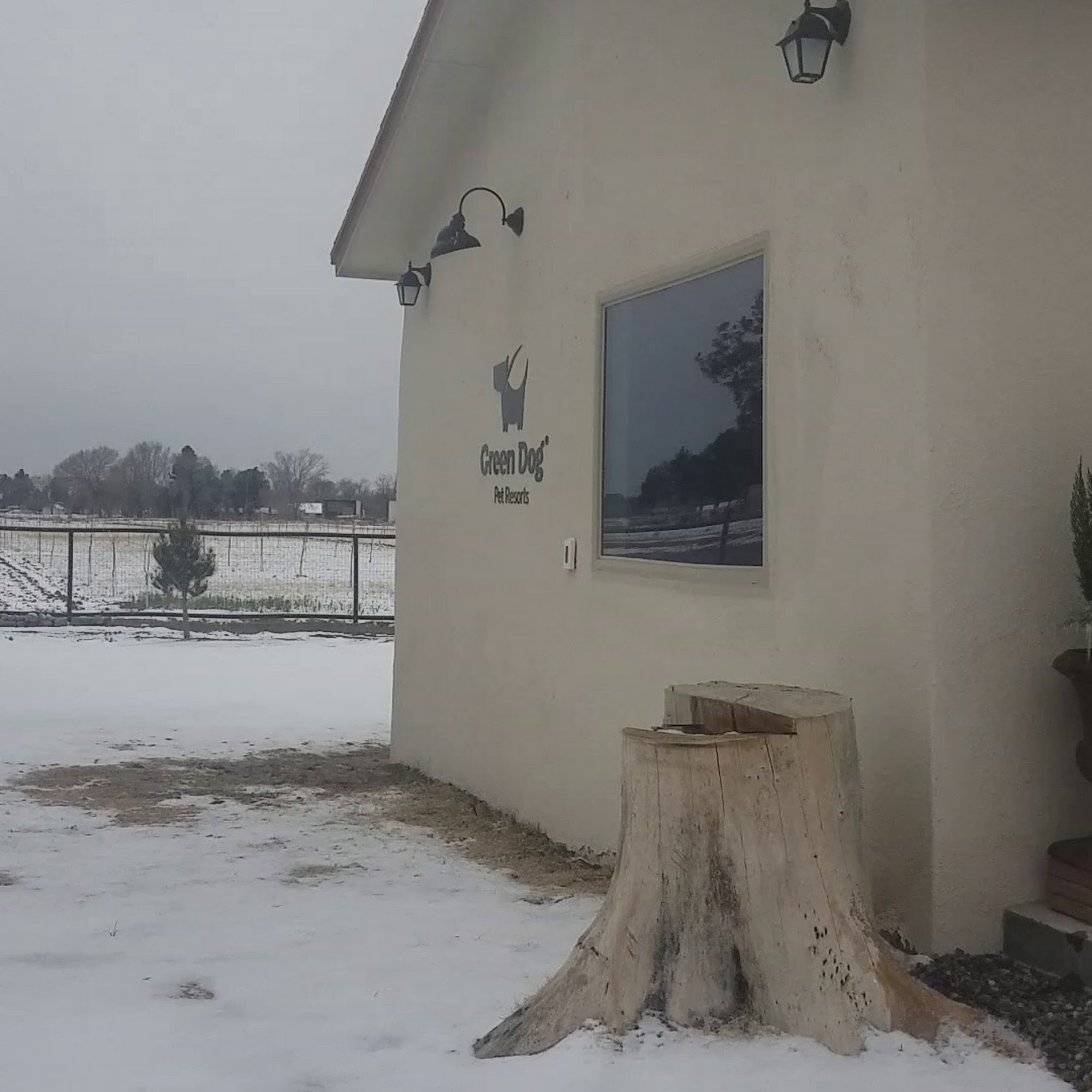 Green Dog Pet Resorts Anthony