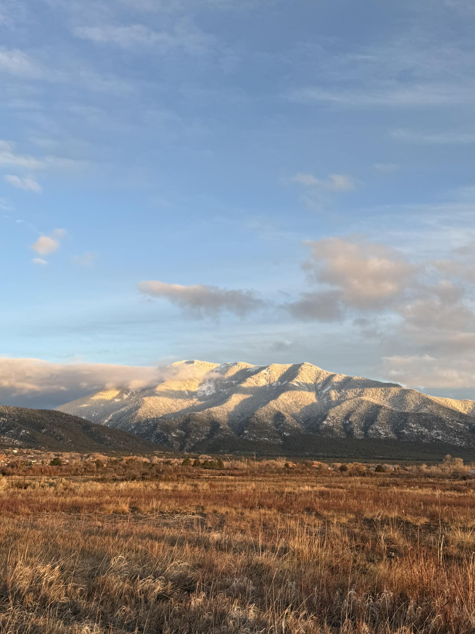 Taos Cow Arroyo Seco