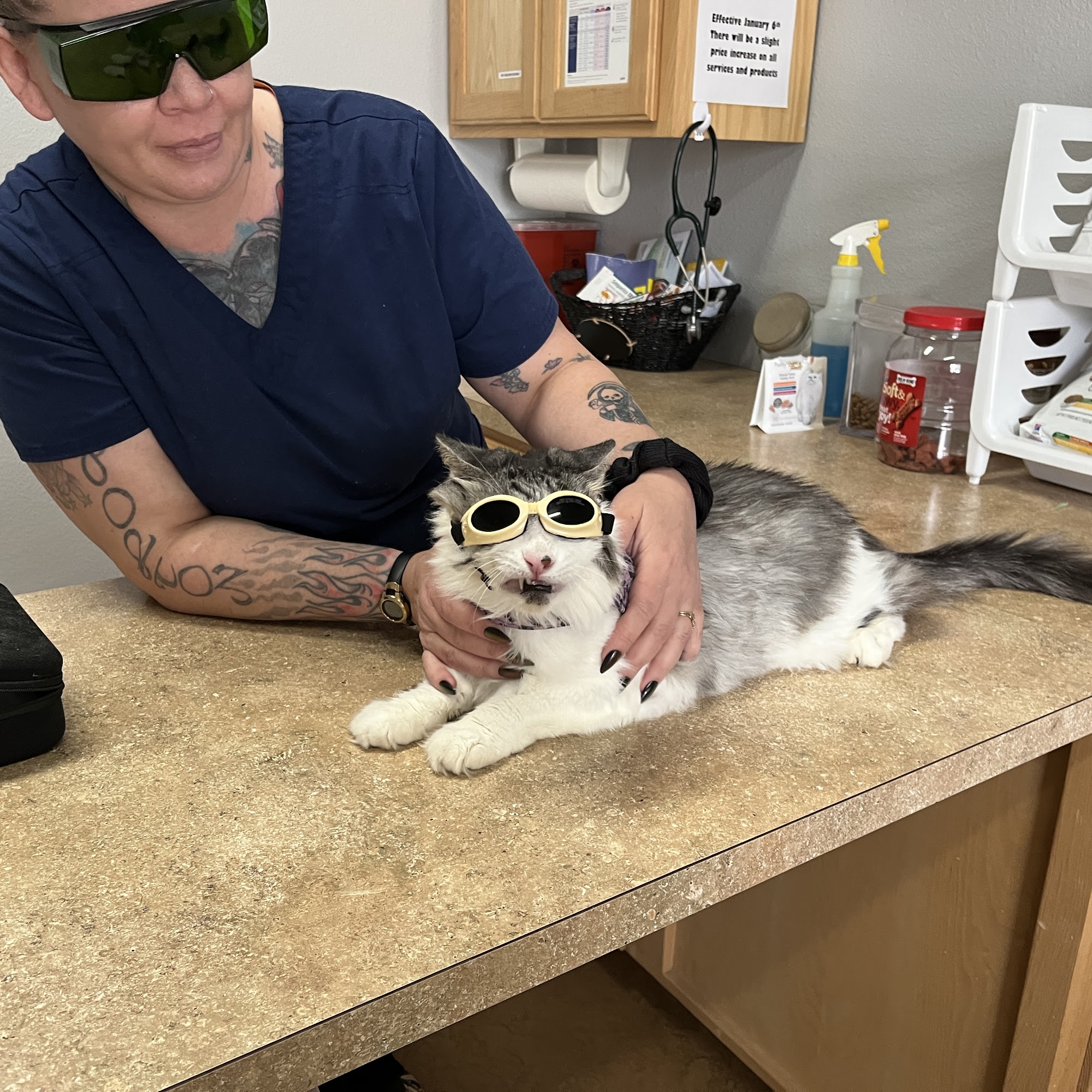 Critter Care Center Artesia