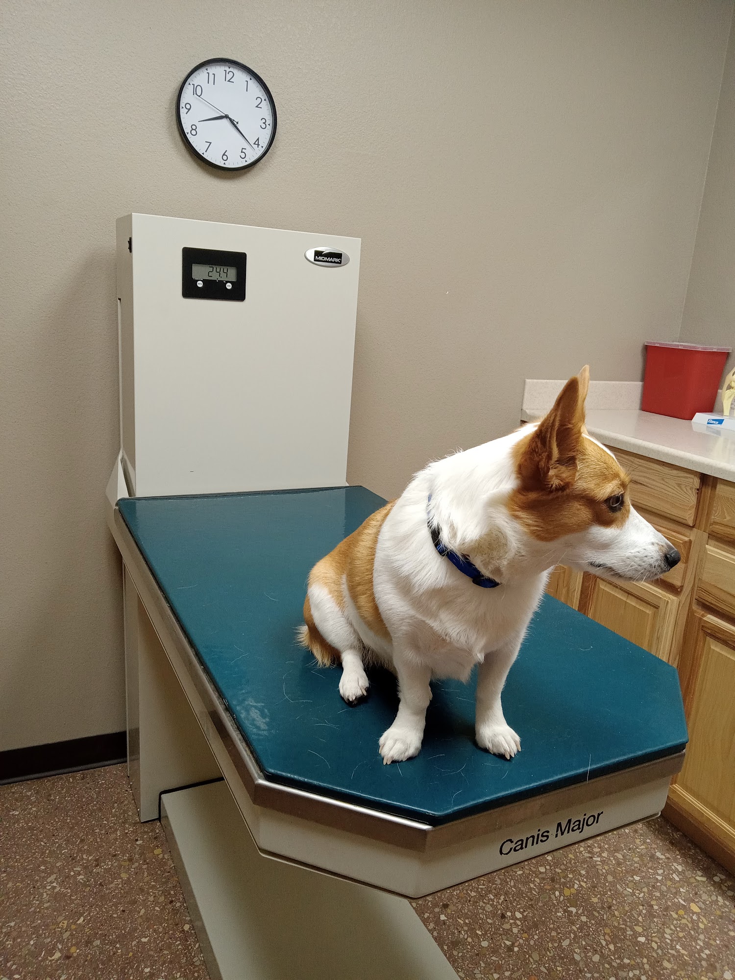 La Cueva Pet Care Center Carlsbad