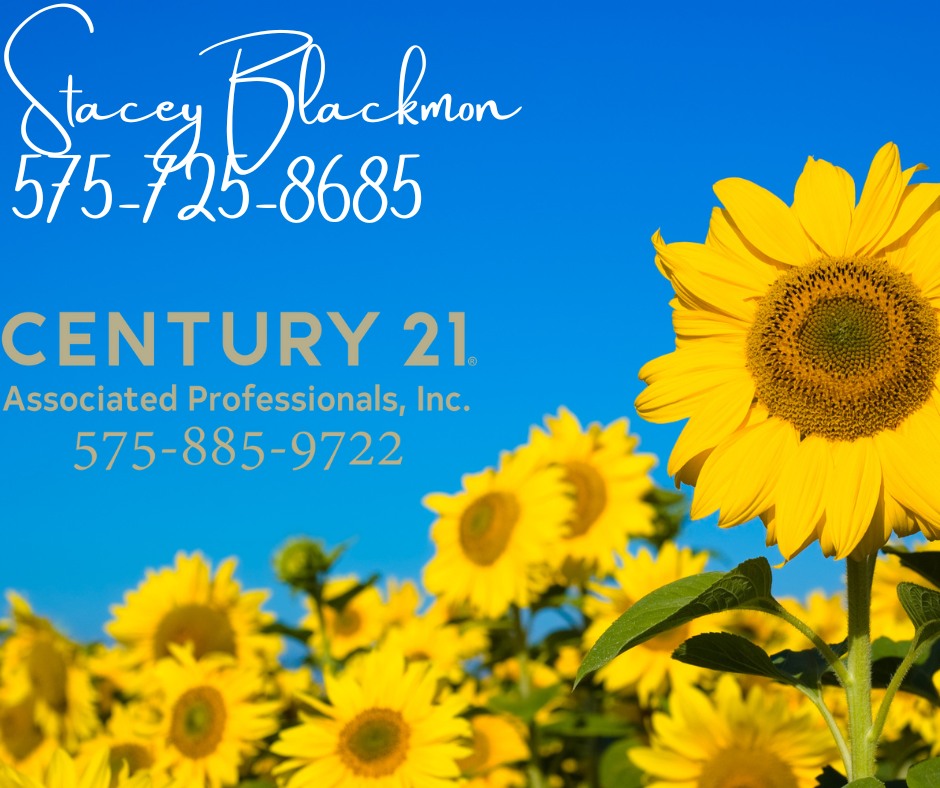 CENTURY 21 Associated Professionals, Inc., Caroline Yeager