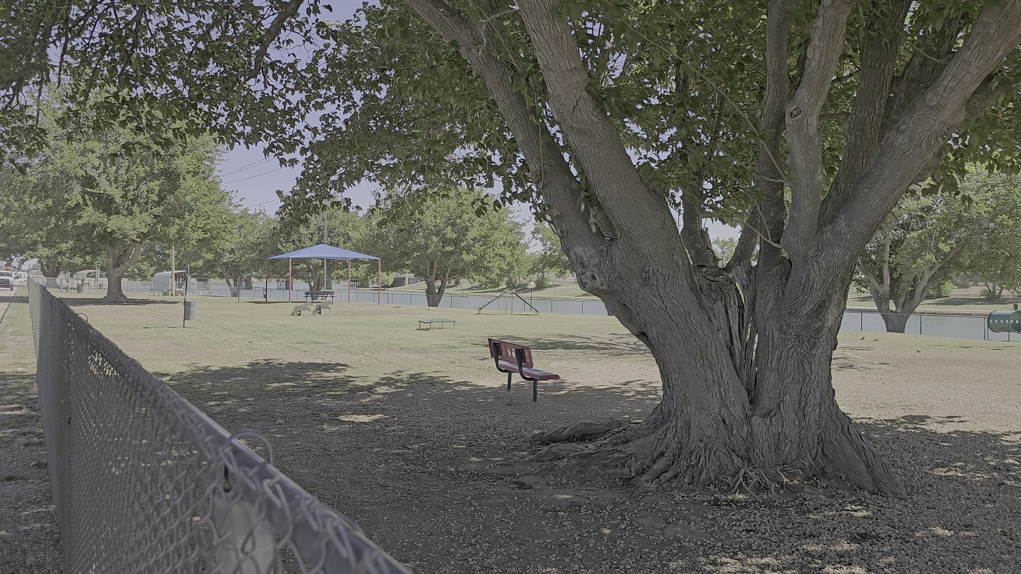 City Of Carlsbad Dog Park Carlsbad