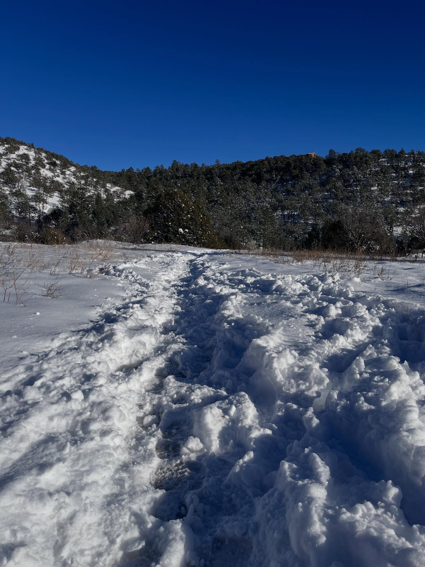 Rumor Brewing Company Cedar Crest