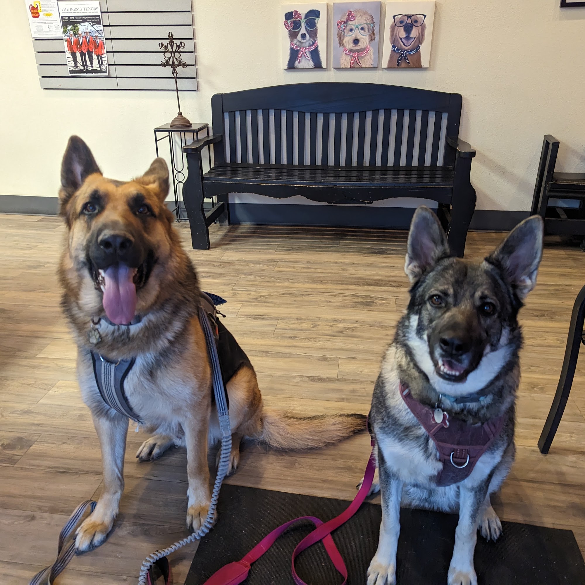 All Pets Animal Hospital Clovis