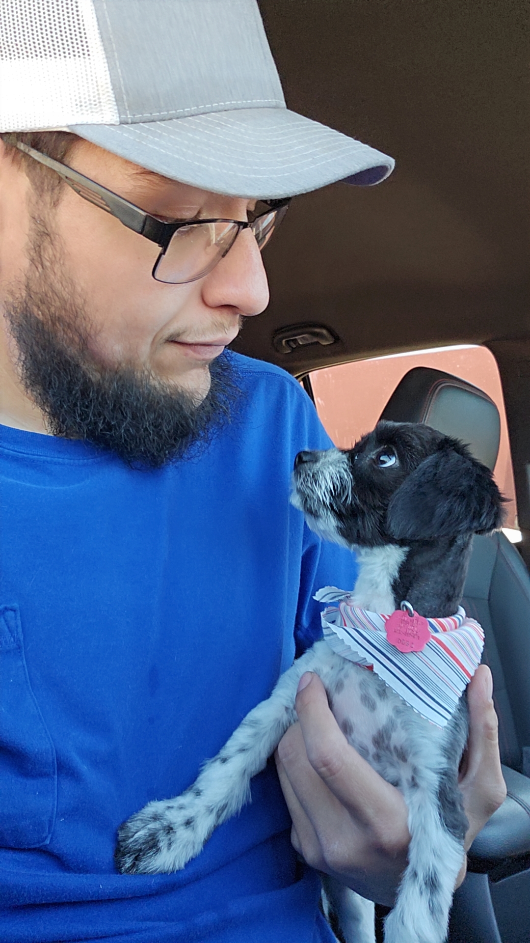 Sierra Pet Hotel & Spa Clovis