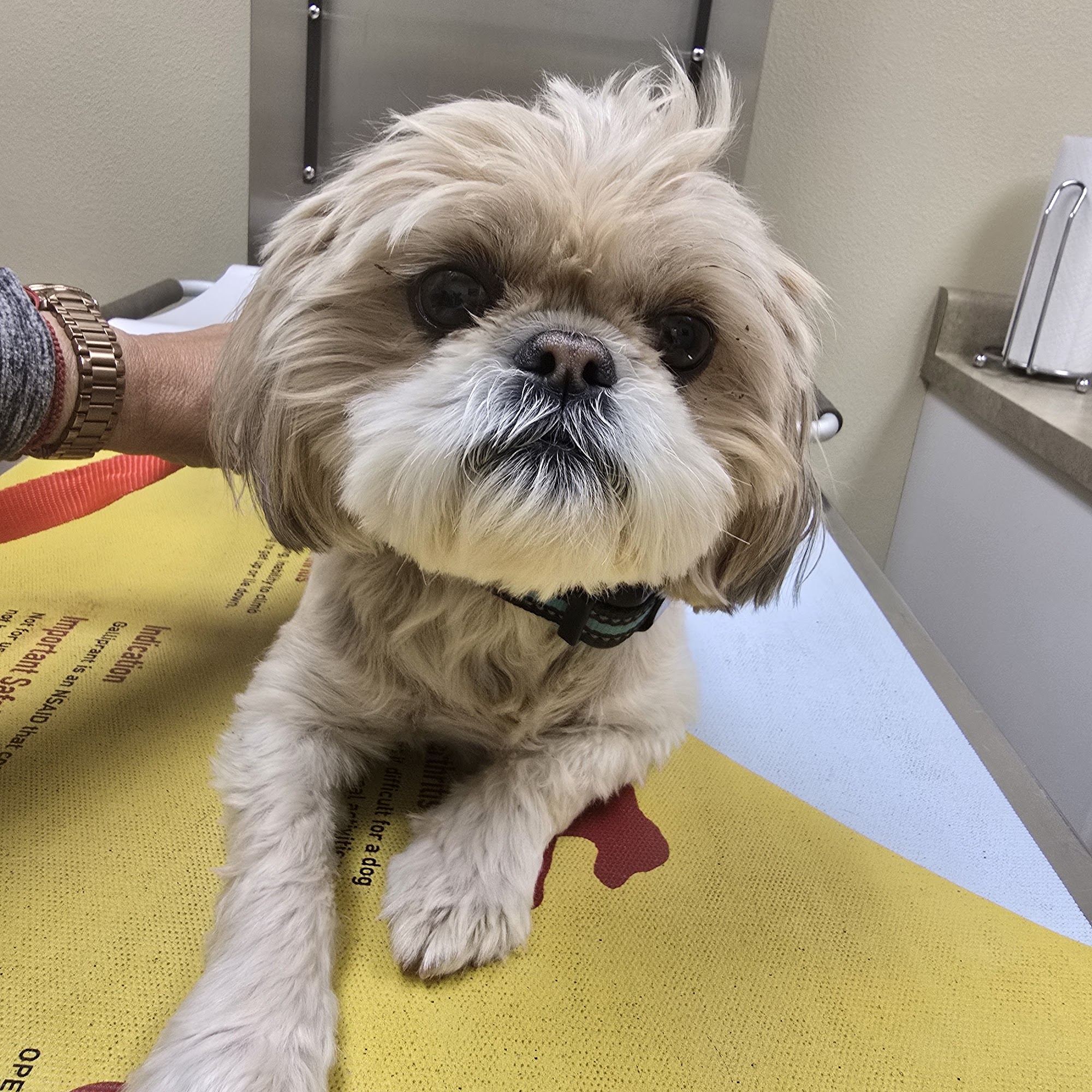 High Desert Veterinary Care Deming