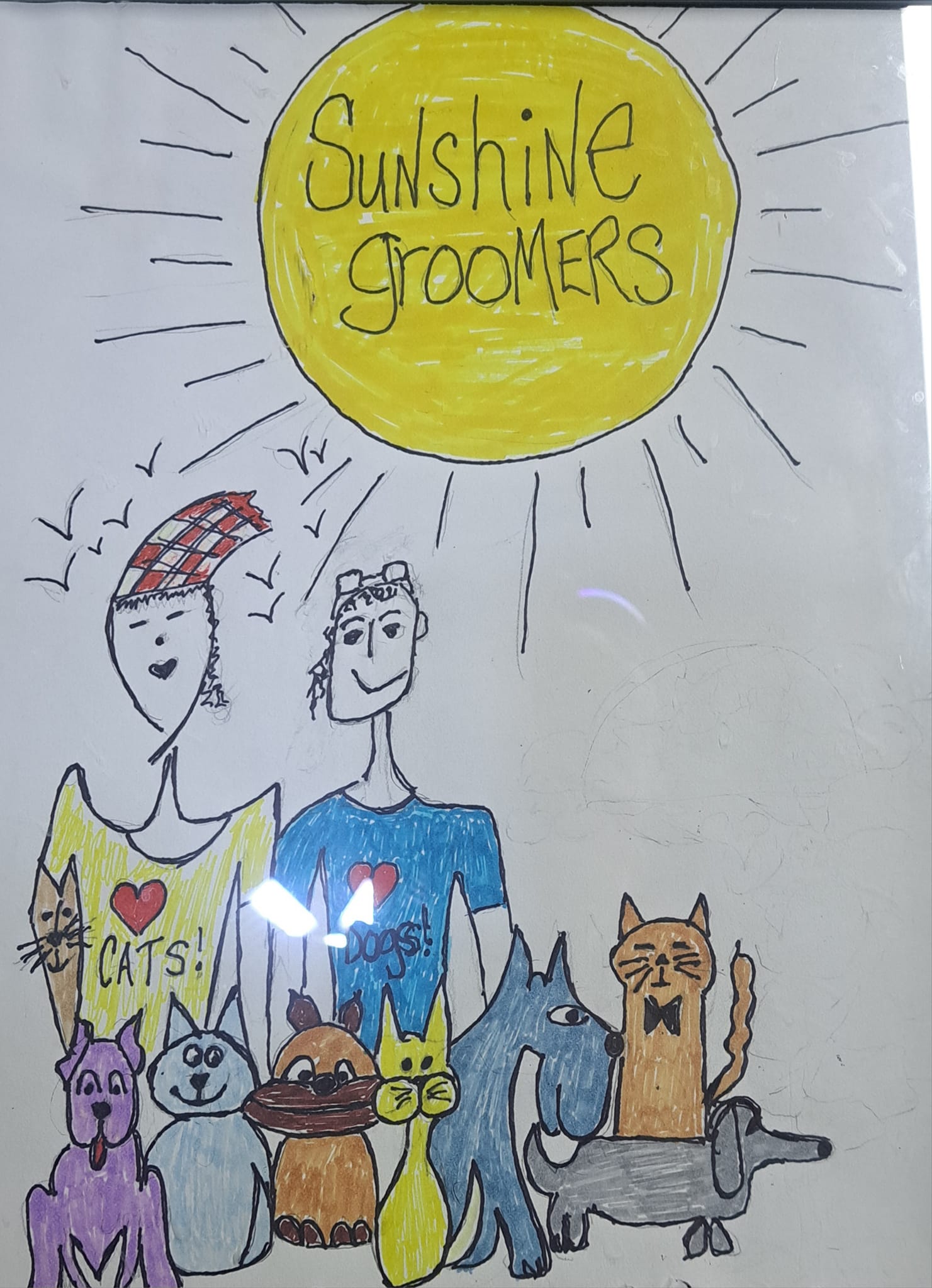 Sunshine Grooming