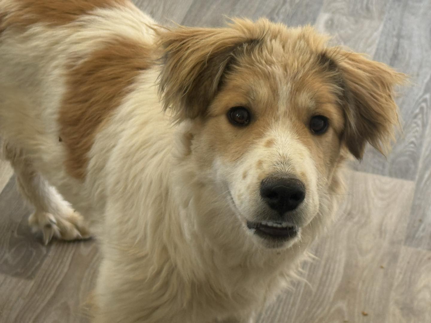 Jane Trains El Prado