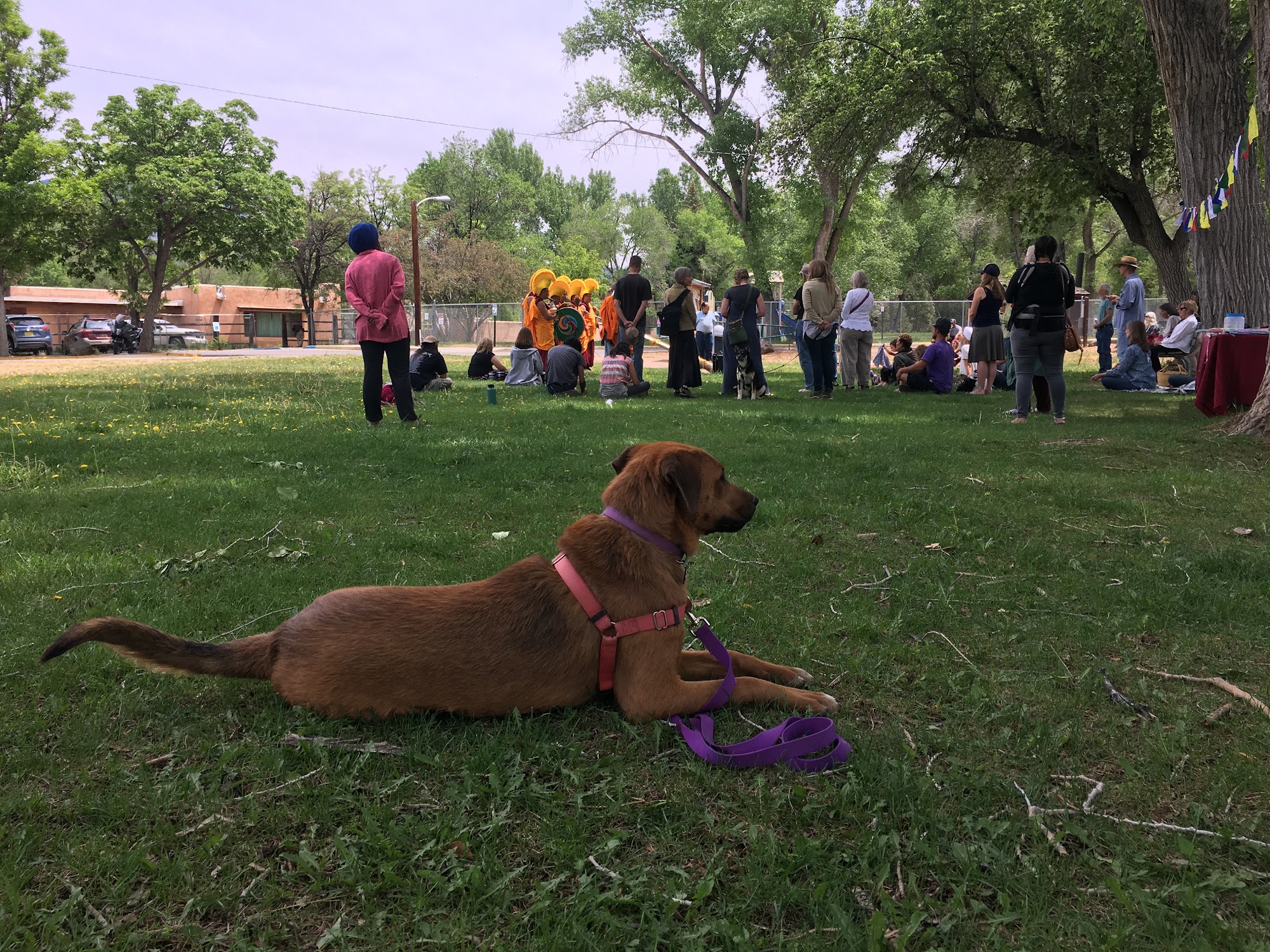 Jane Trains El Prado