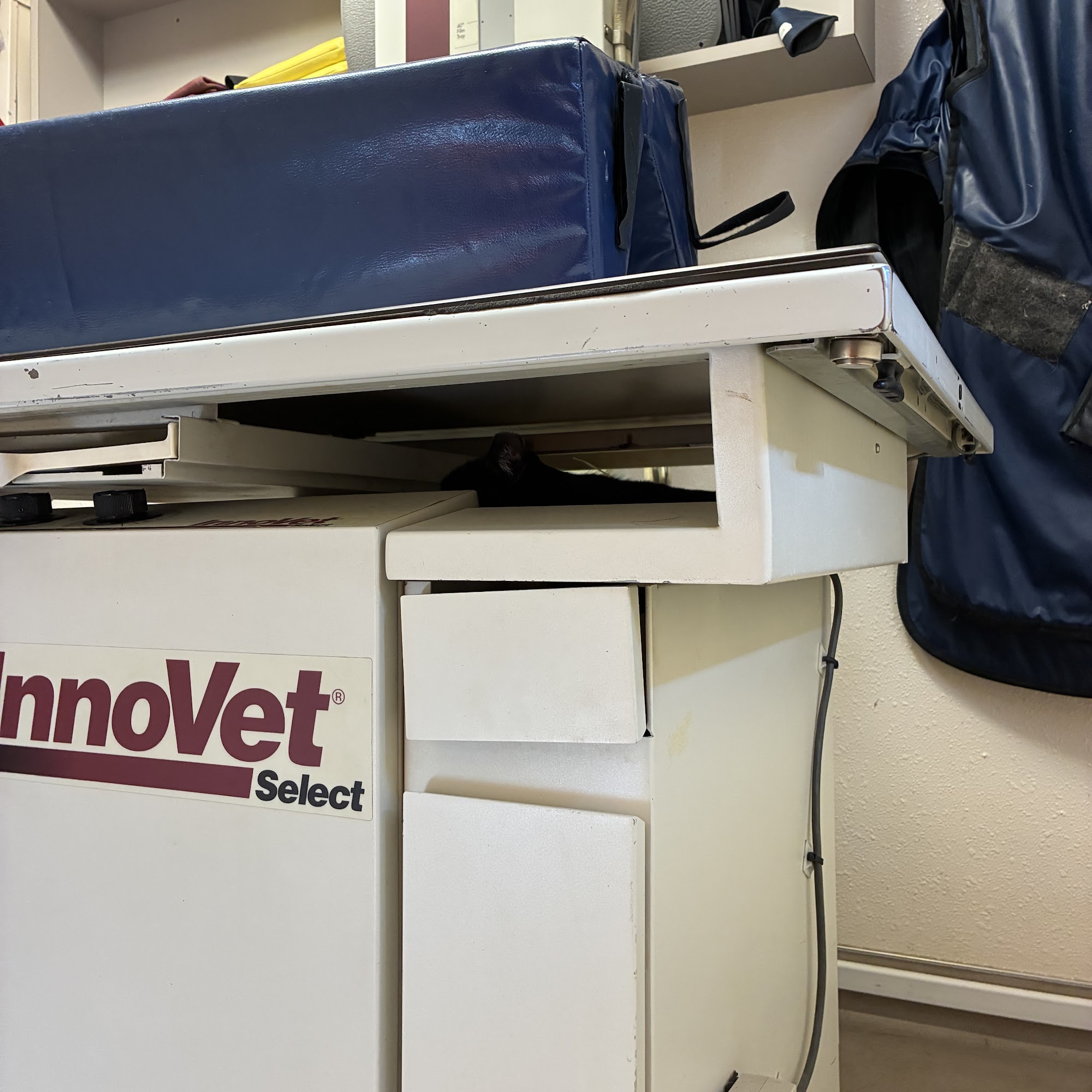 San Juan Veterinary Hospital Farmington