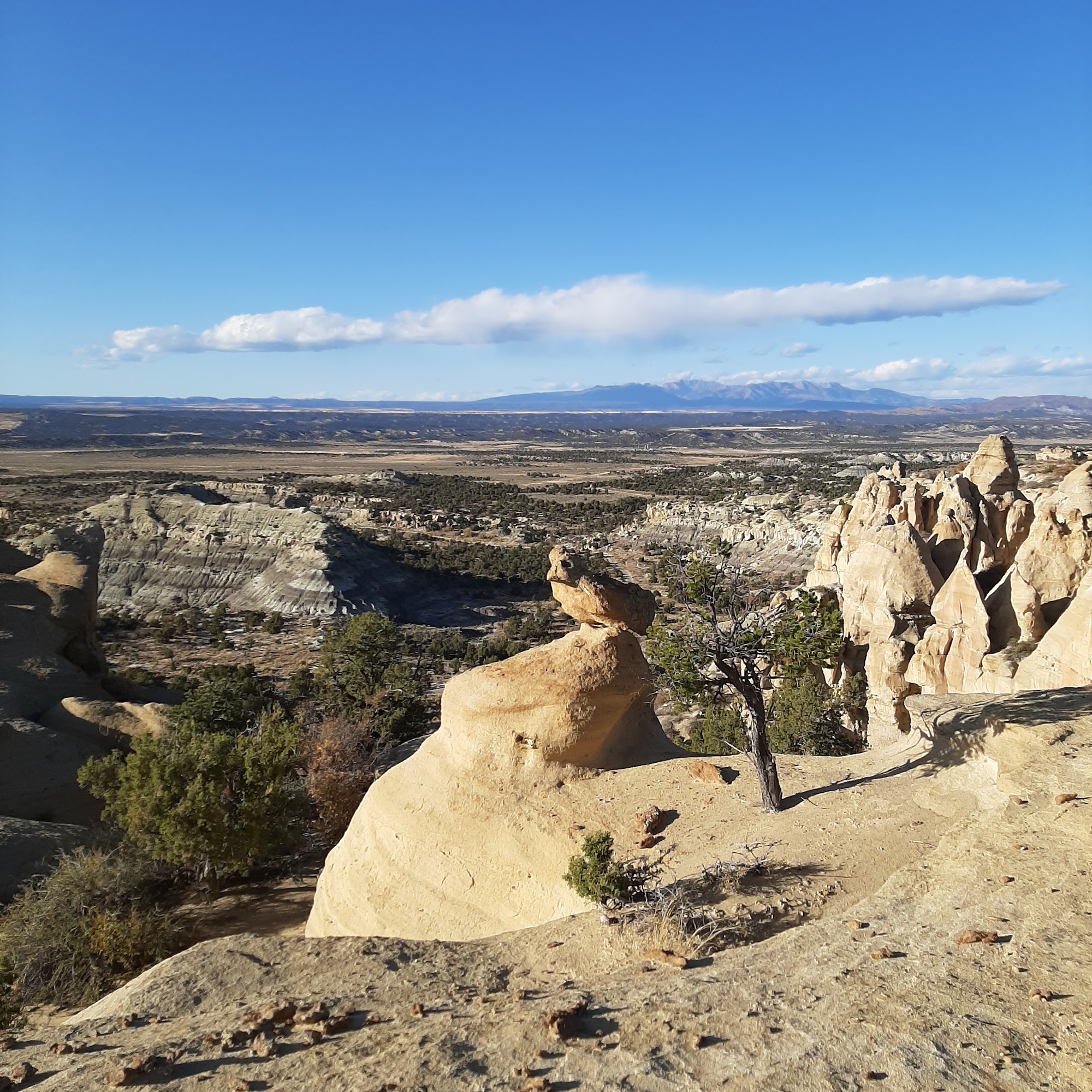 Frank's Mobile RV Services