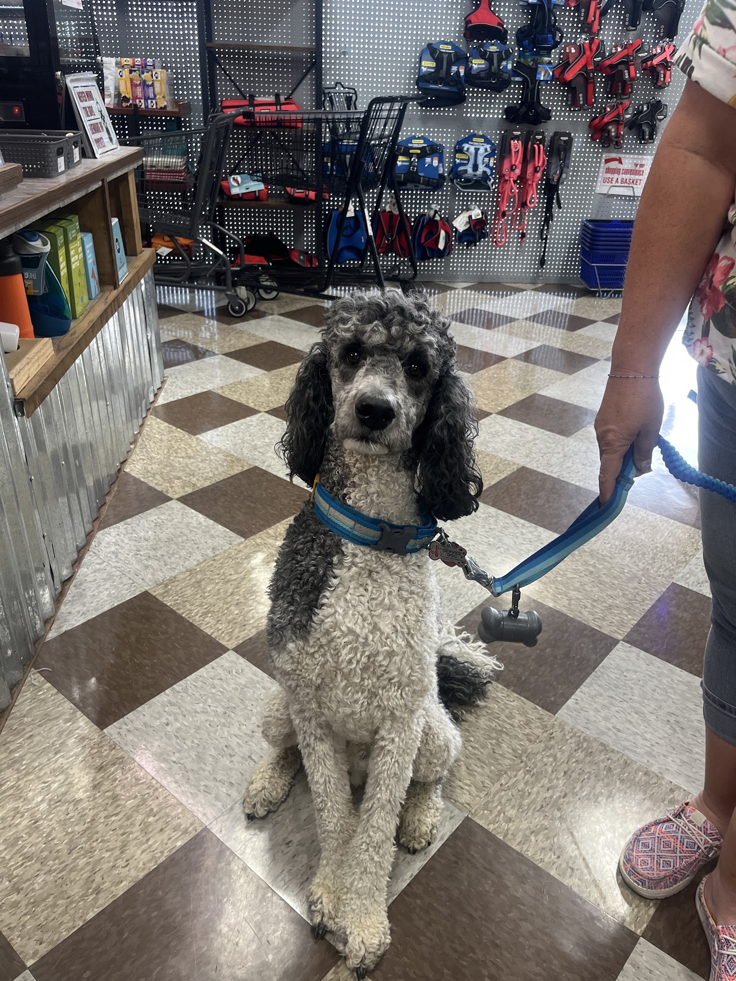 Ruff Haus Pet Supply Farmington