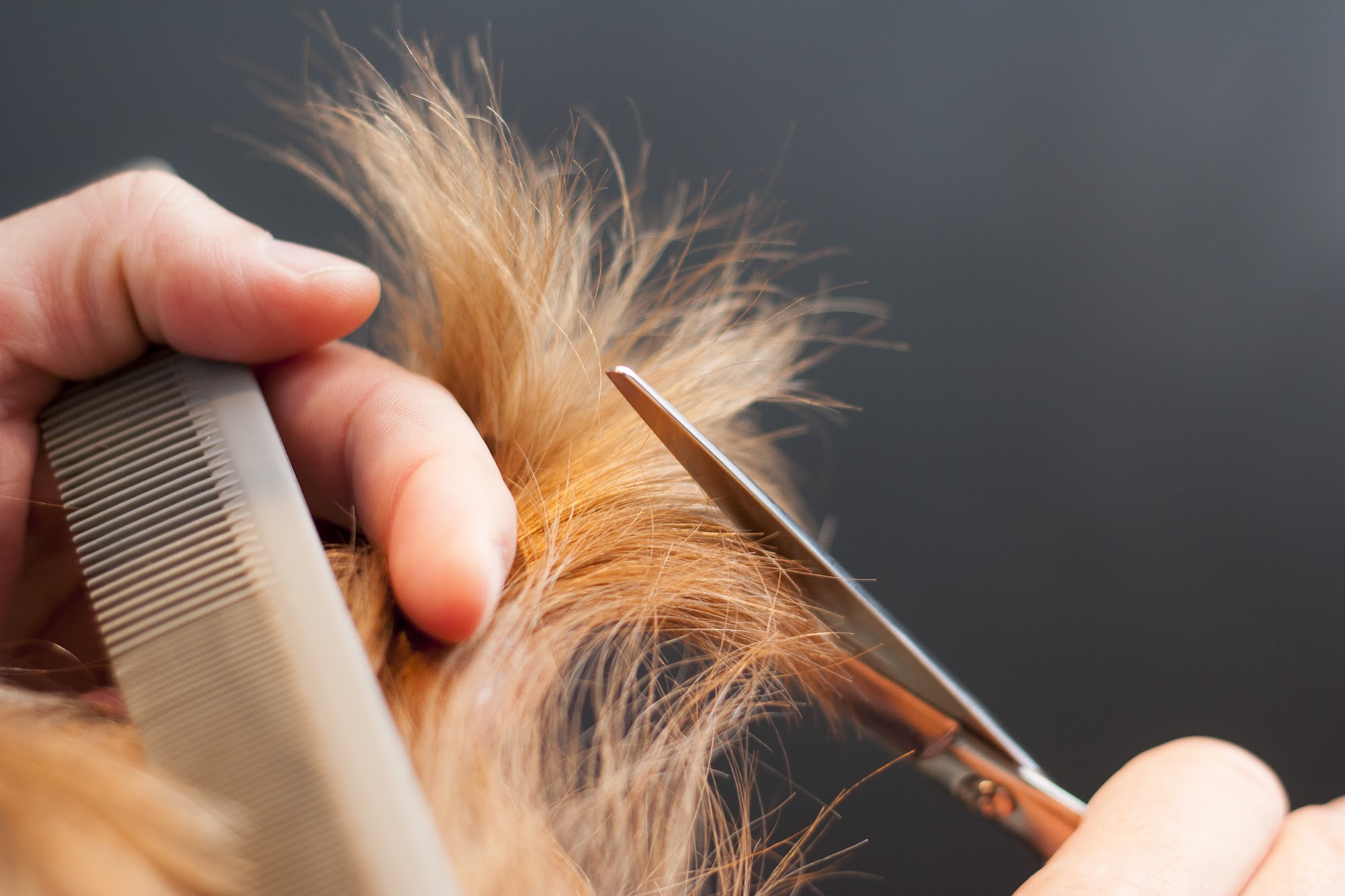 Gilbert's Hairstyling Salon Hobbs