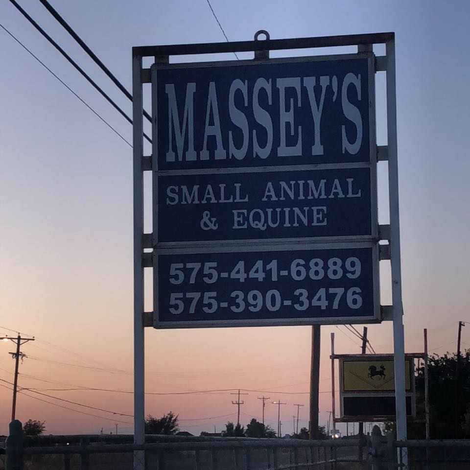 Massey’s Small Animal & Equine Hobbs