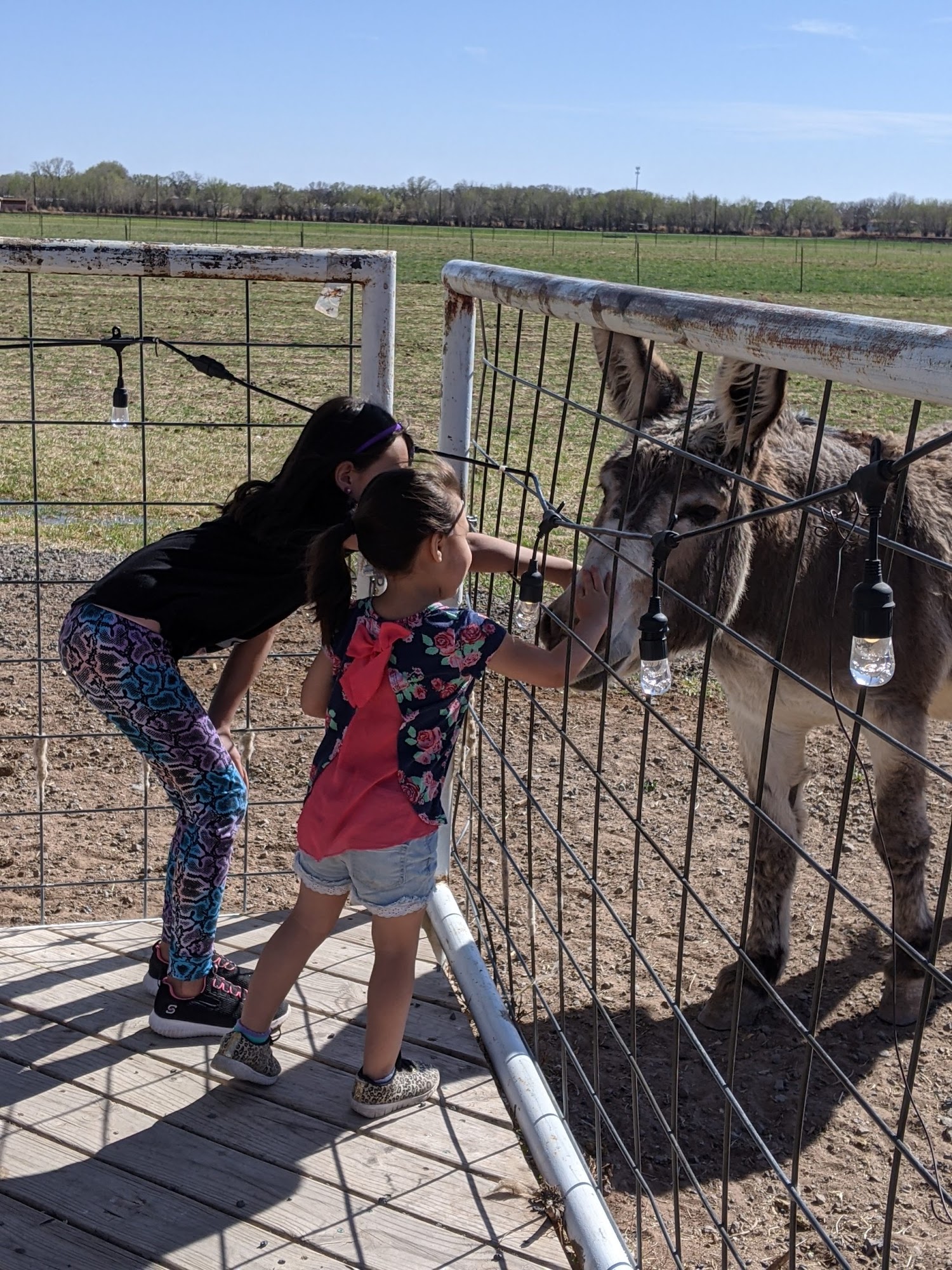 Europa Food. Farm. Festival Los Lunas