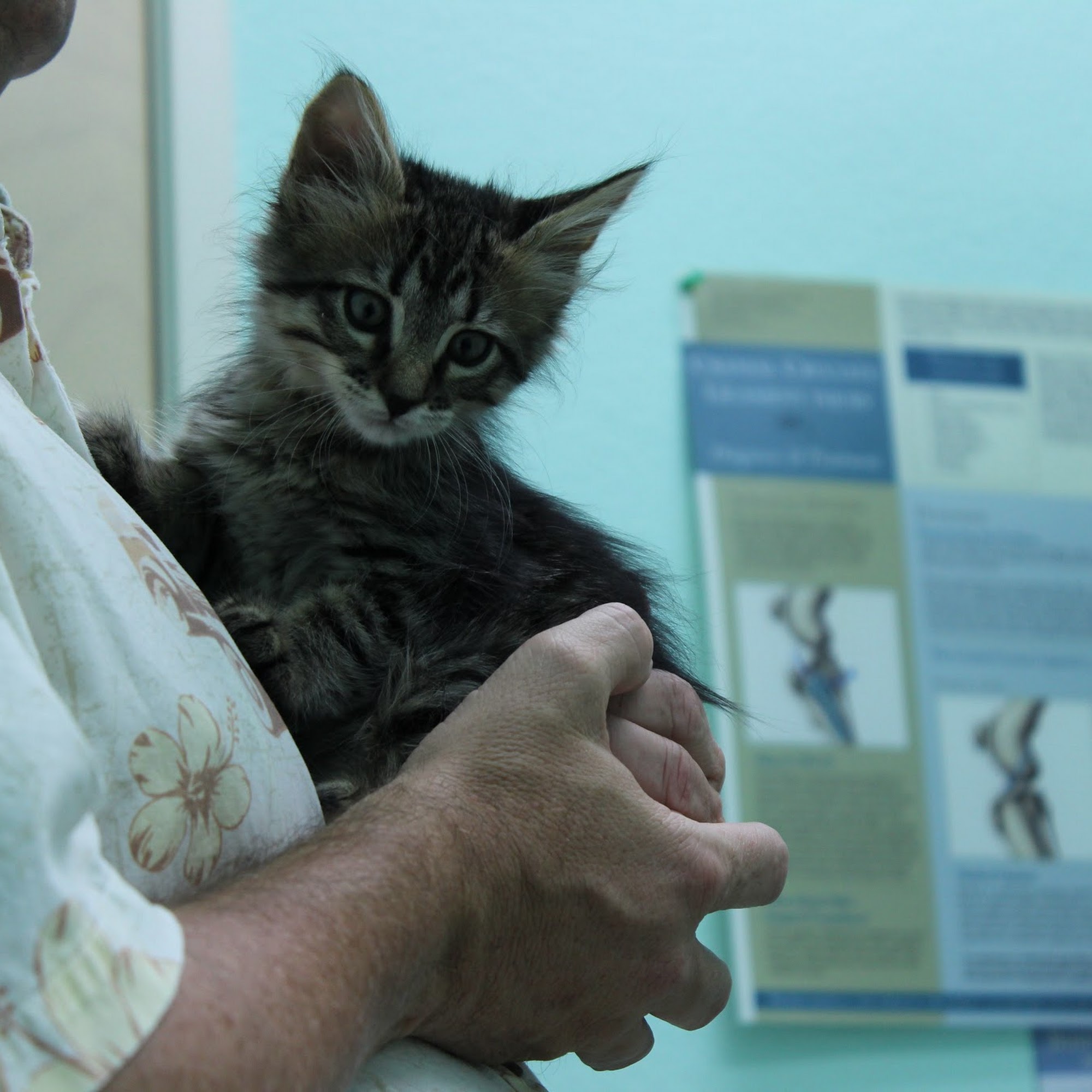 LOS LUNAS ANIMAL CLINIC Los Lunas