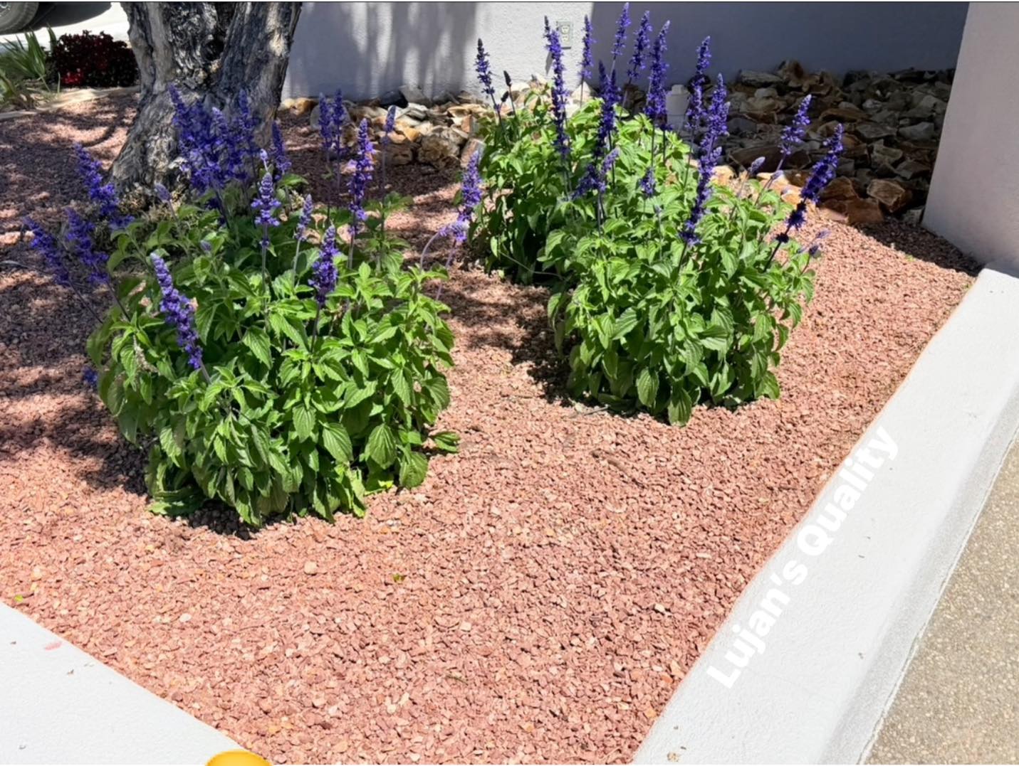 Lujans Quality 7421 4th St NW, Los Ranchos De Albuquerque New Mexico 87107