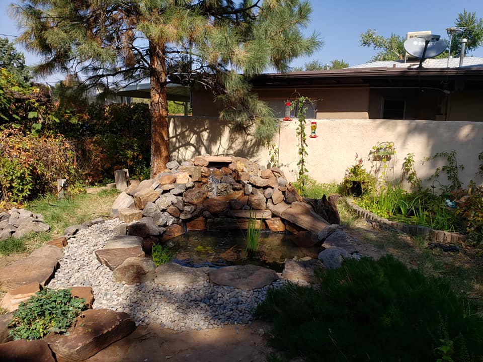 Absolute Landscaping and Pond Maintenance LLC