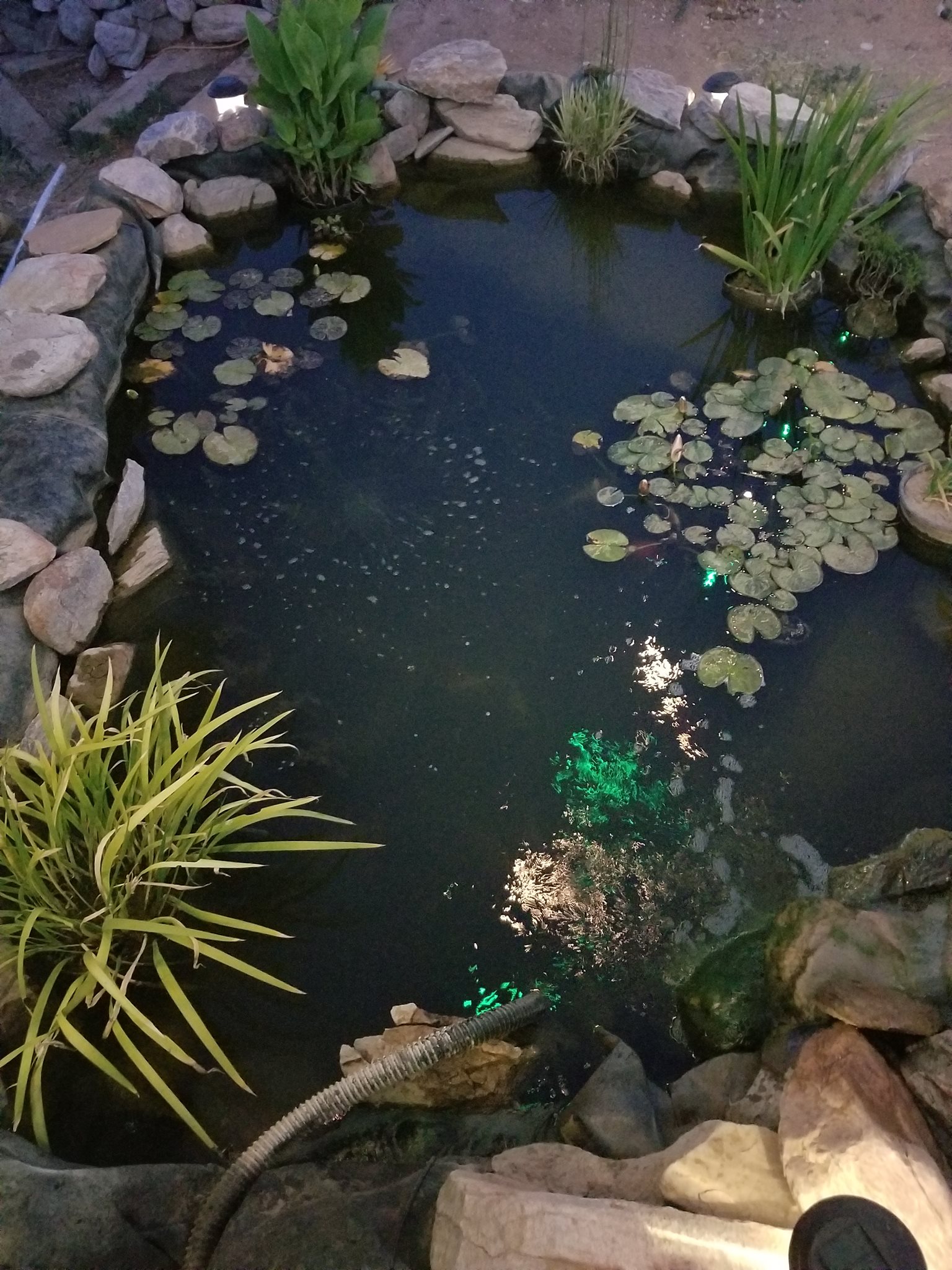 Absolute Landscaping and Pond Maintenance LLC