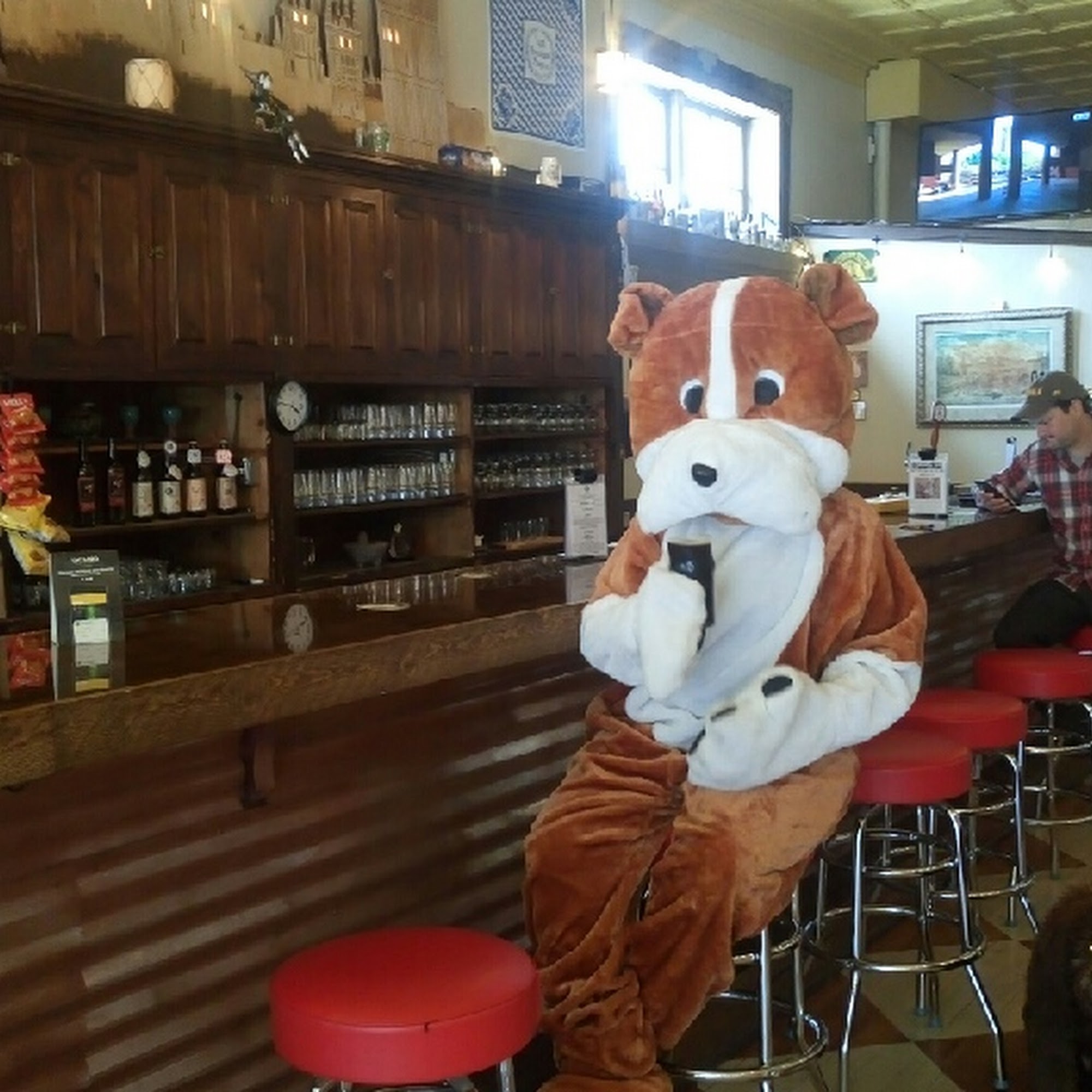 Colfax Ale Cellar Raton