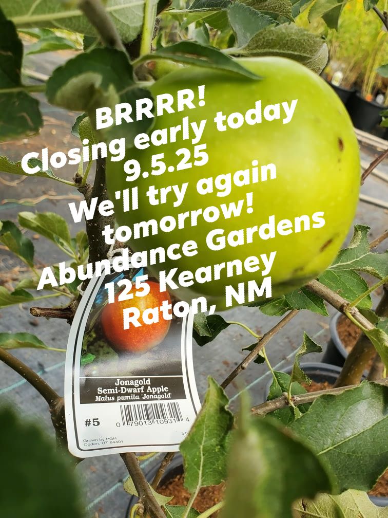 Abundance Gardens Raton