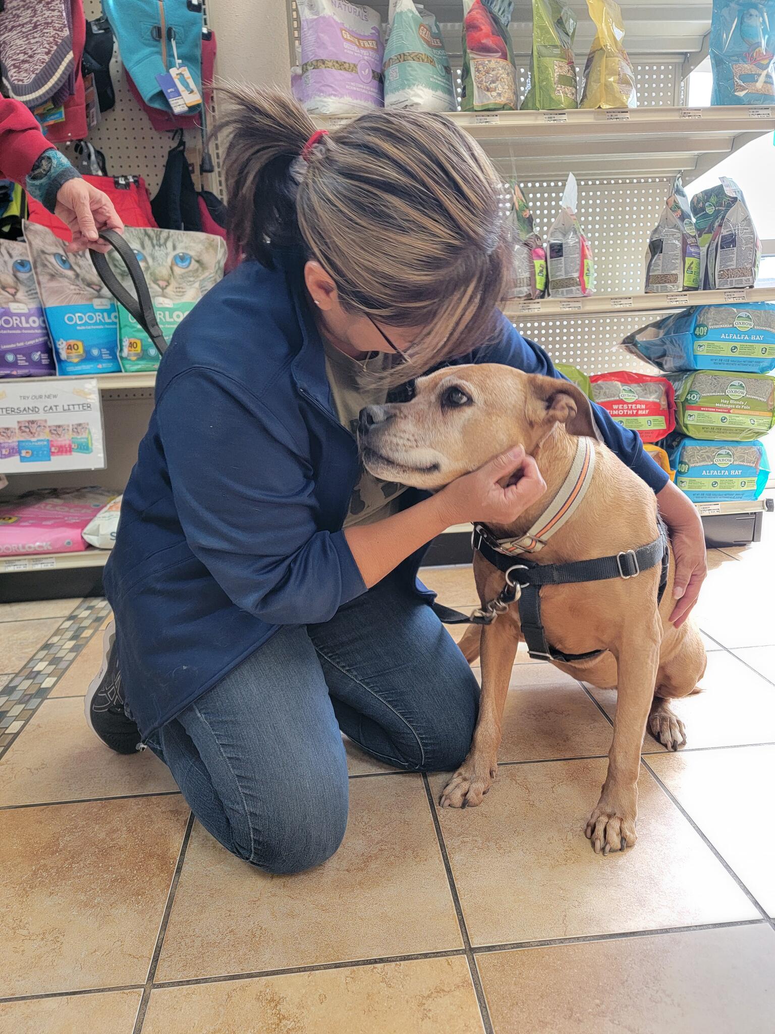 Pet Food Gone Wild Rio Rancho