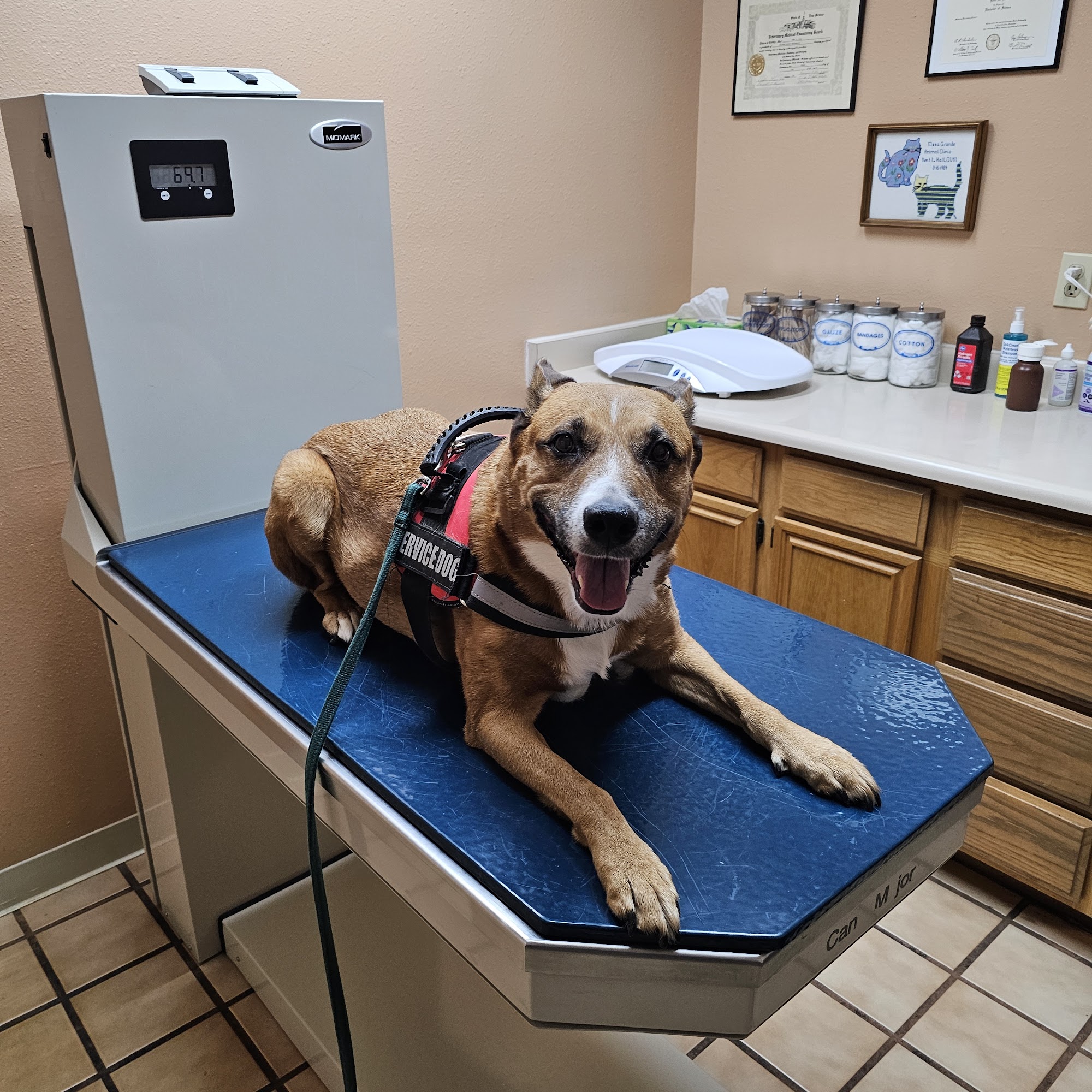 Mesa Grande Animal Clinic Rio Rancho