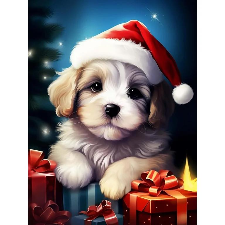 All 4 Pawz Grooming Rio Rancho