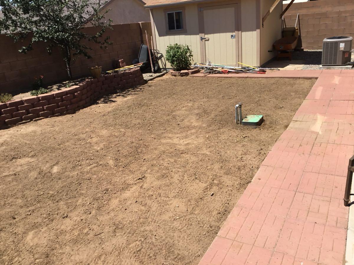 Sunshine Tree & Landscape