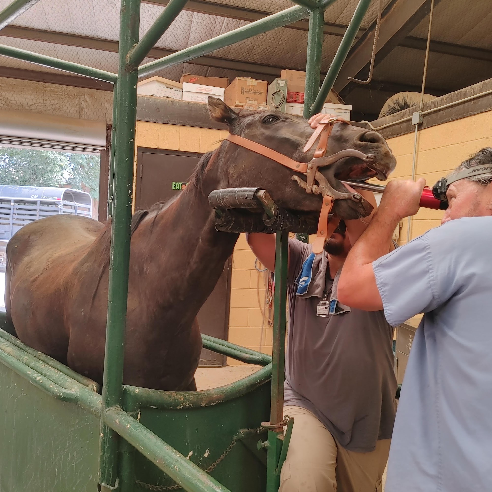 South Springs Animal Hospital Roswell