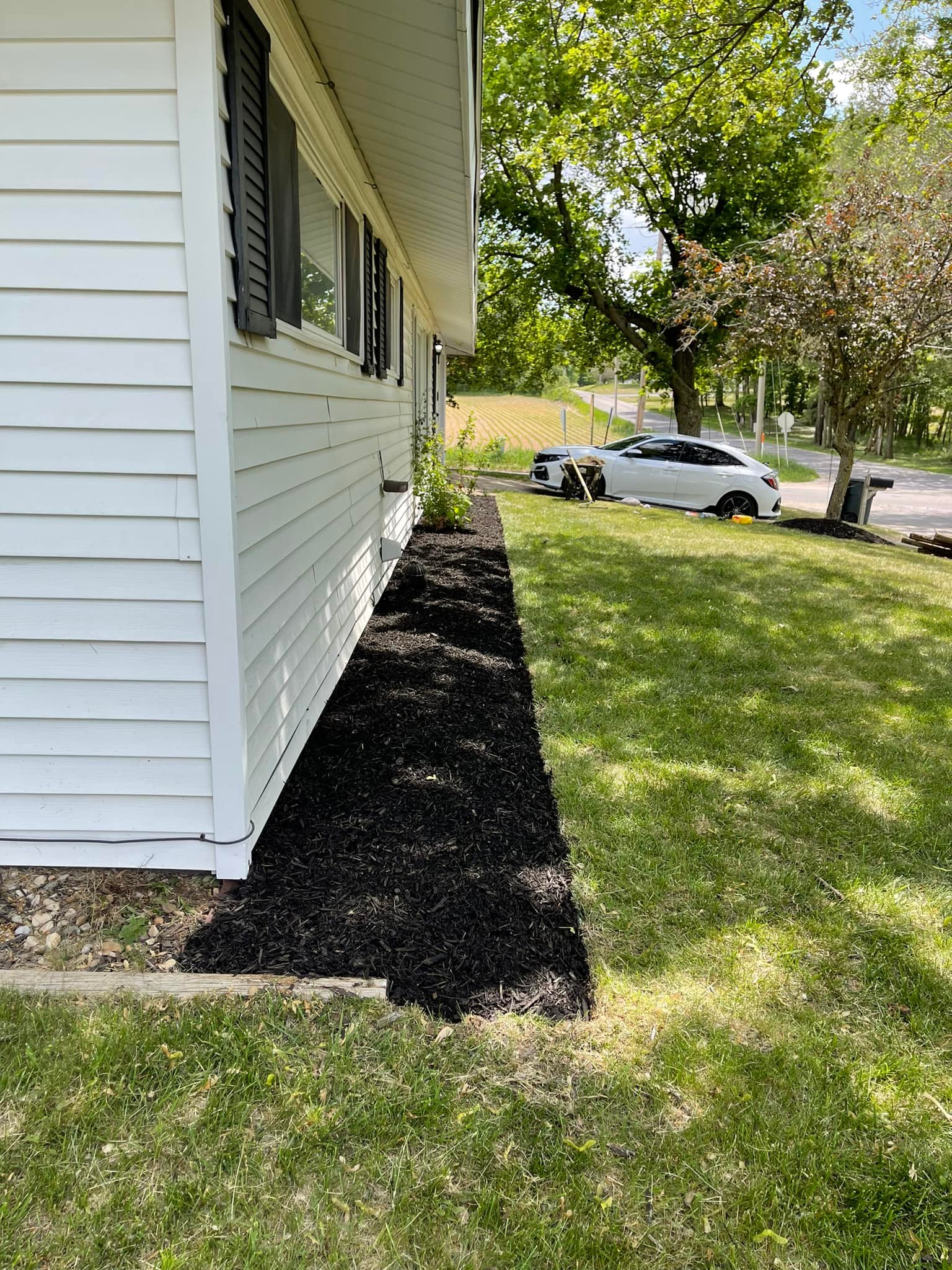 Dynamic lawn Service