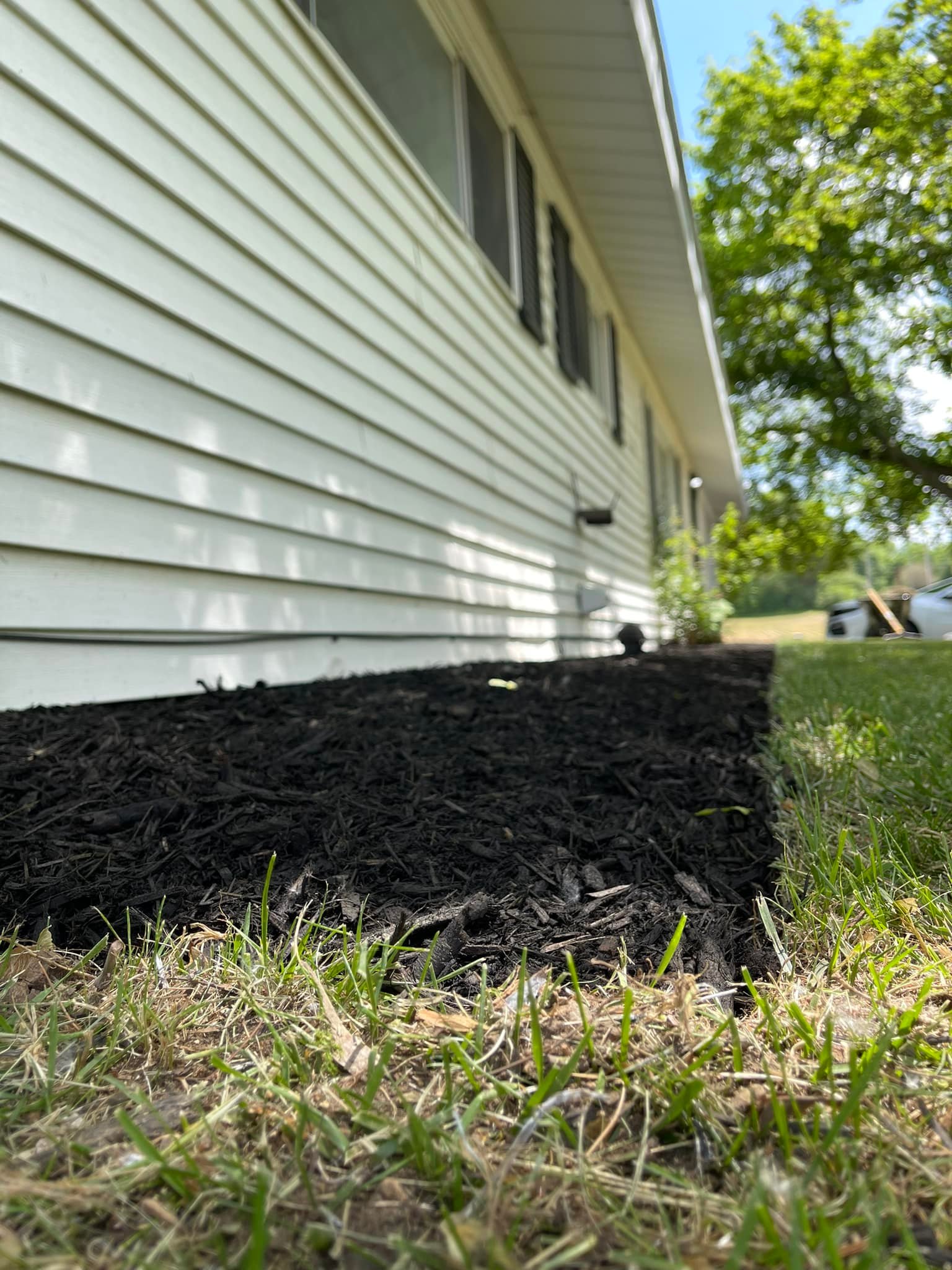 Dynamic lawn Service