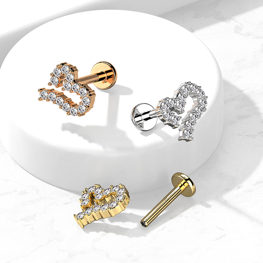 Lucybodymods 222 W 2nd St suite A, Roswell New Mexico 88203