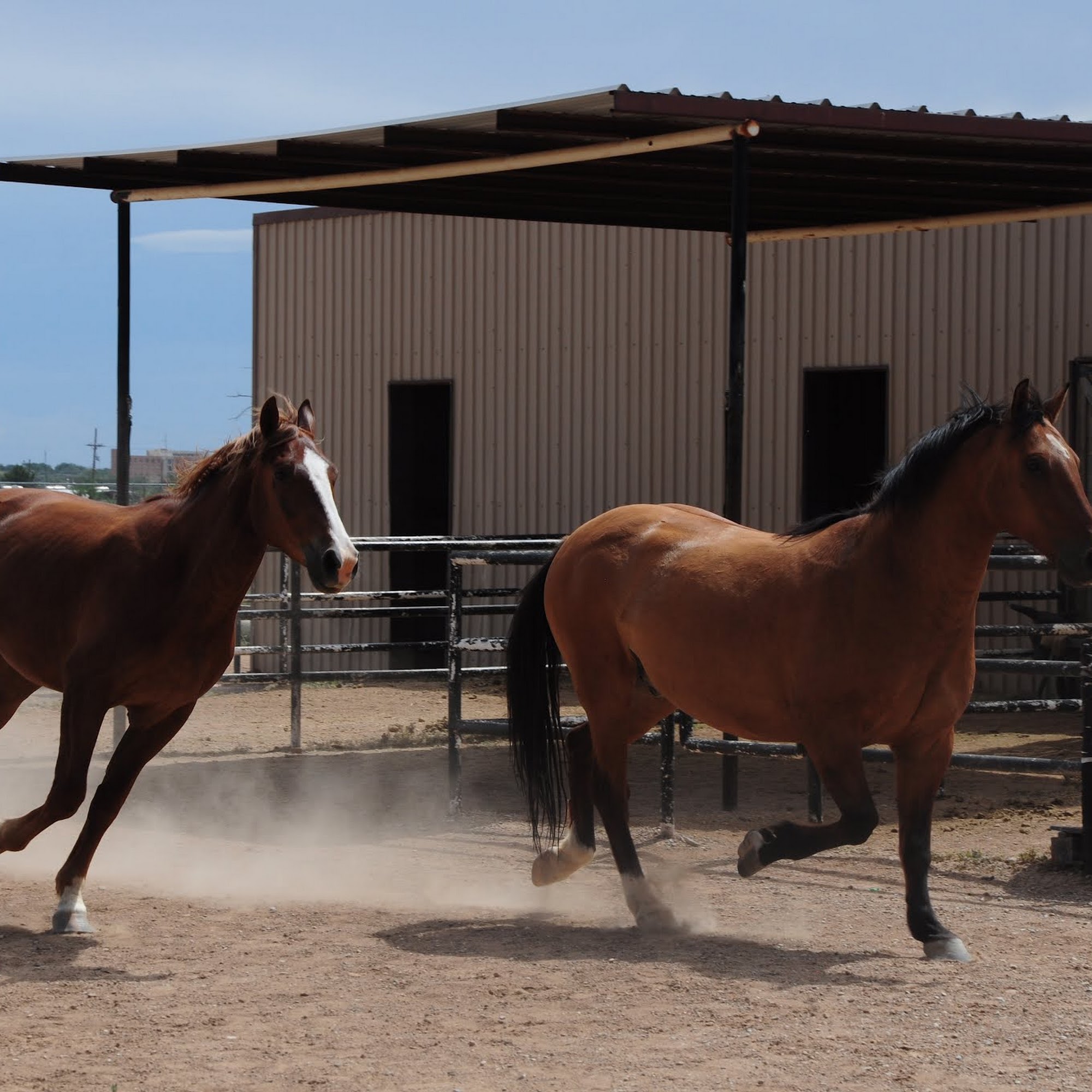 Assurance Home Inc 1000 E 18th St, Roswell New Mexico 88201