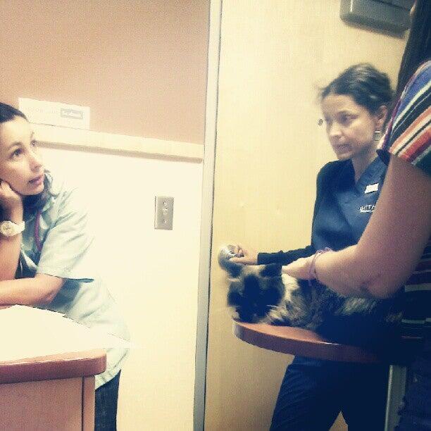 Smith Veterinary Hospital: Breden Yvette DVM Santa Fe