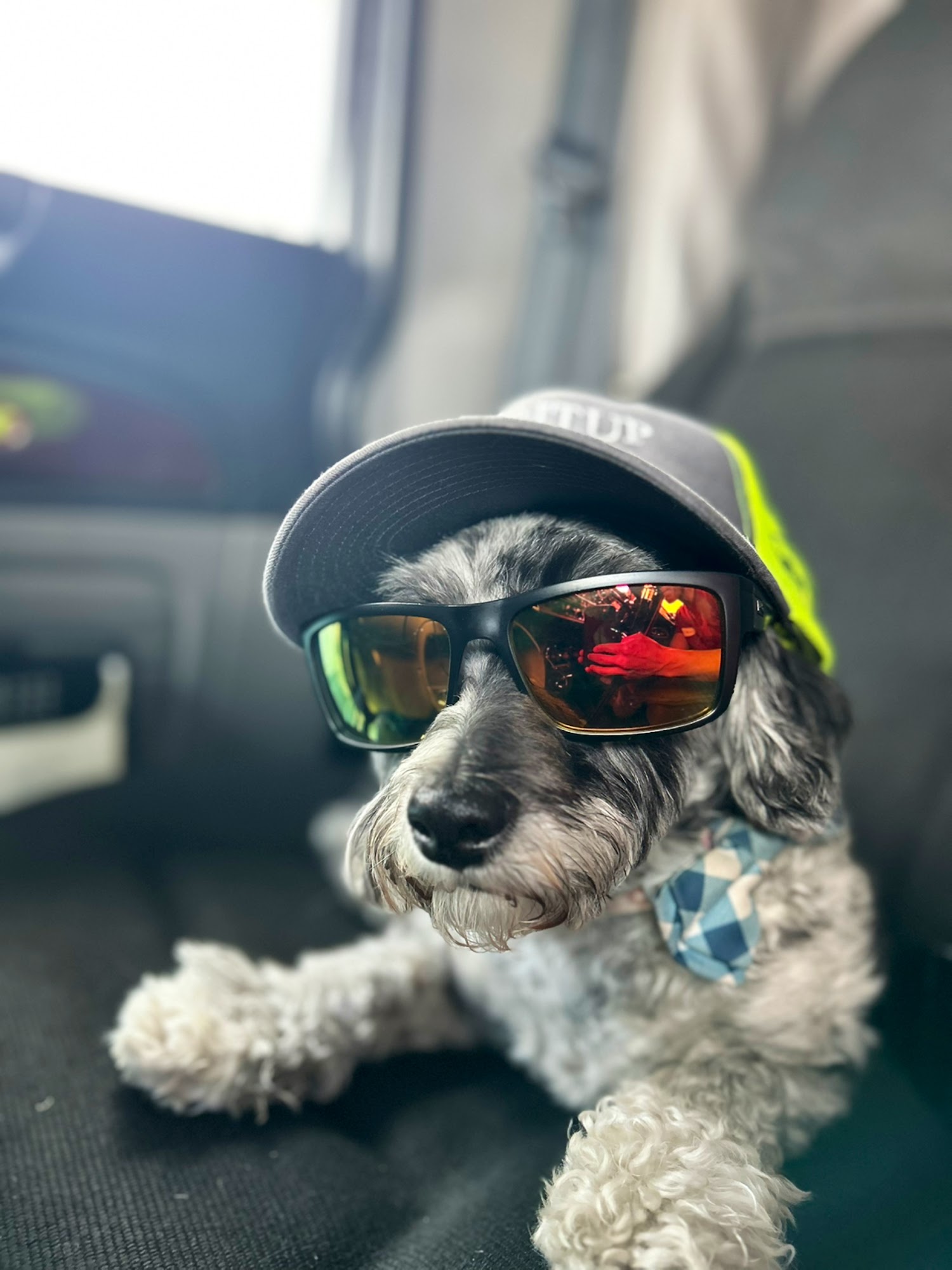 Animal Clinic Santa Fe