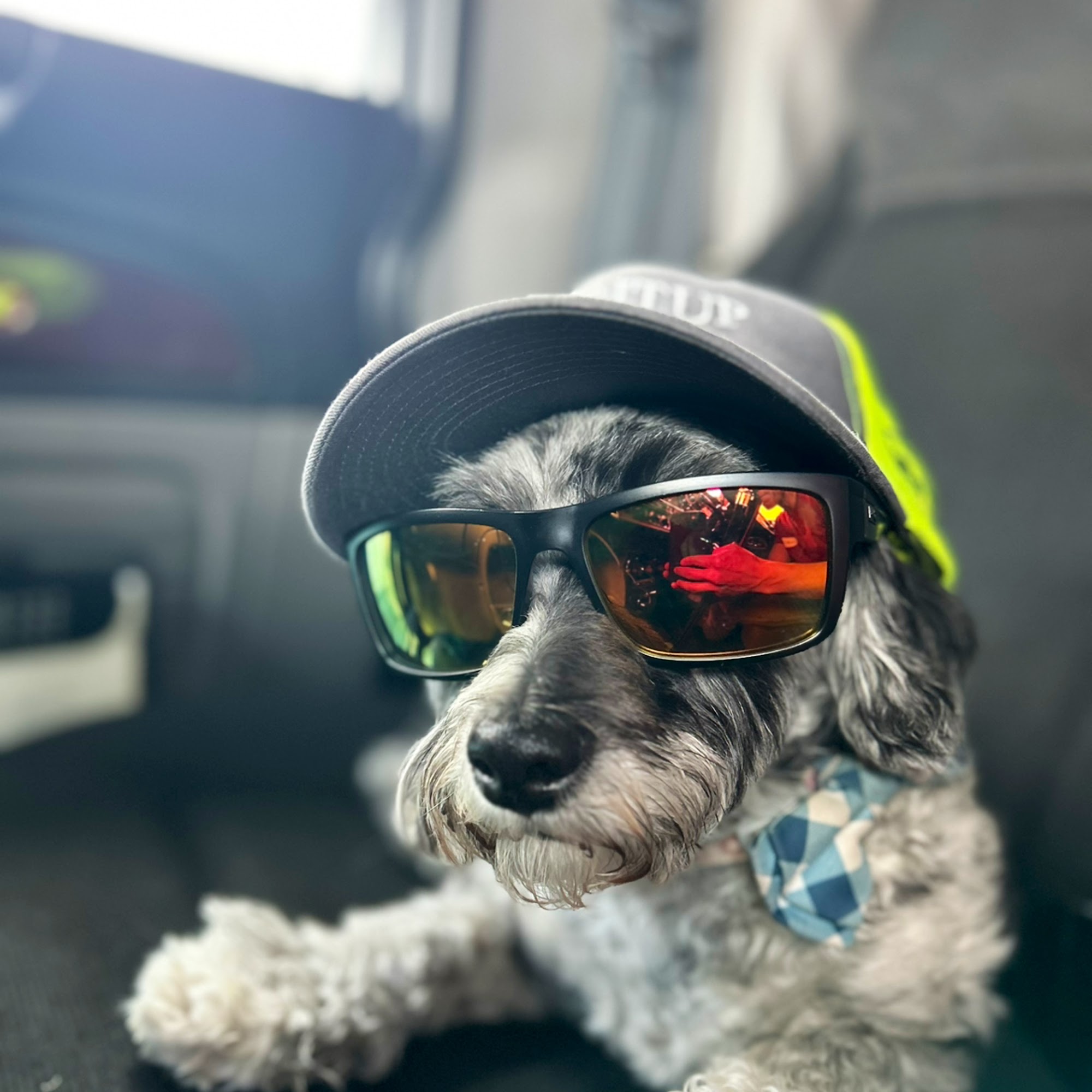 Animal Clinic Santa Fe