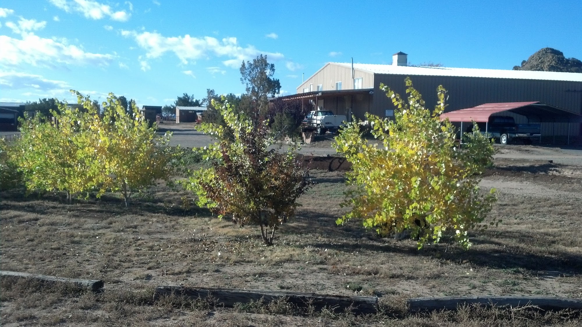 Thal Equine LLC Santa Fe