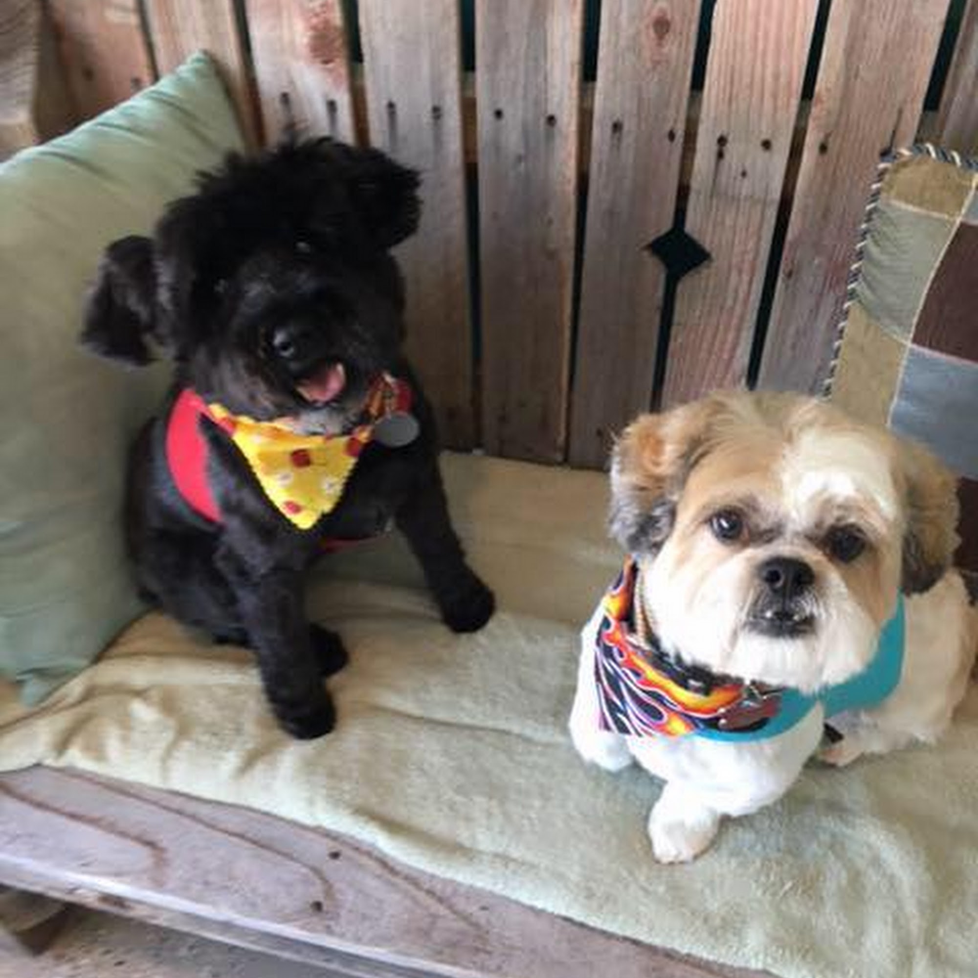 Turquoise Tails Santa Fe