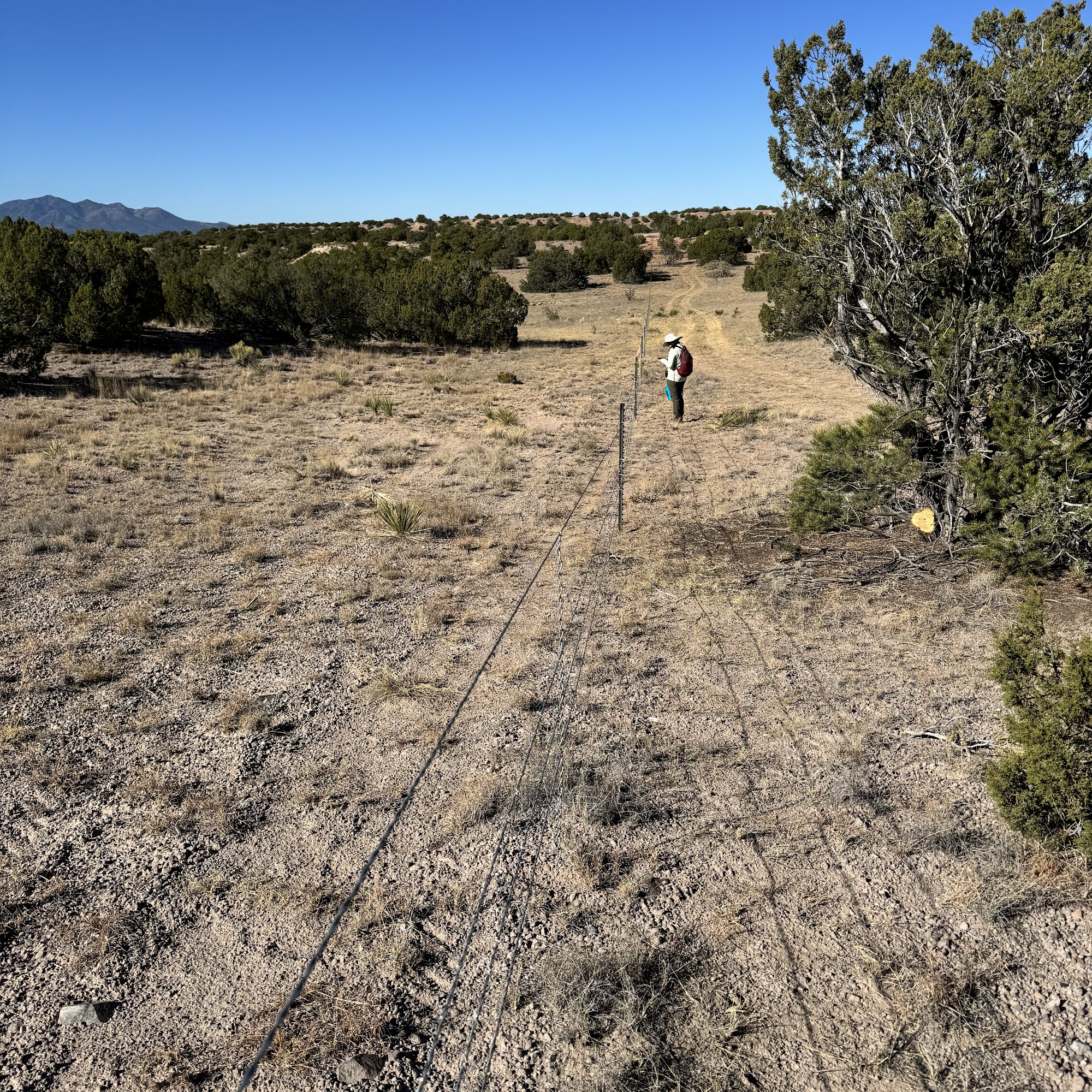 Wired West Fence Building